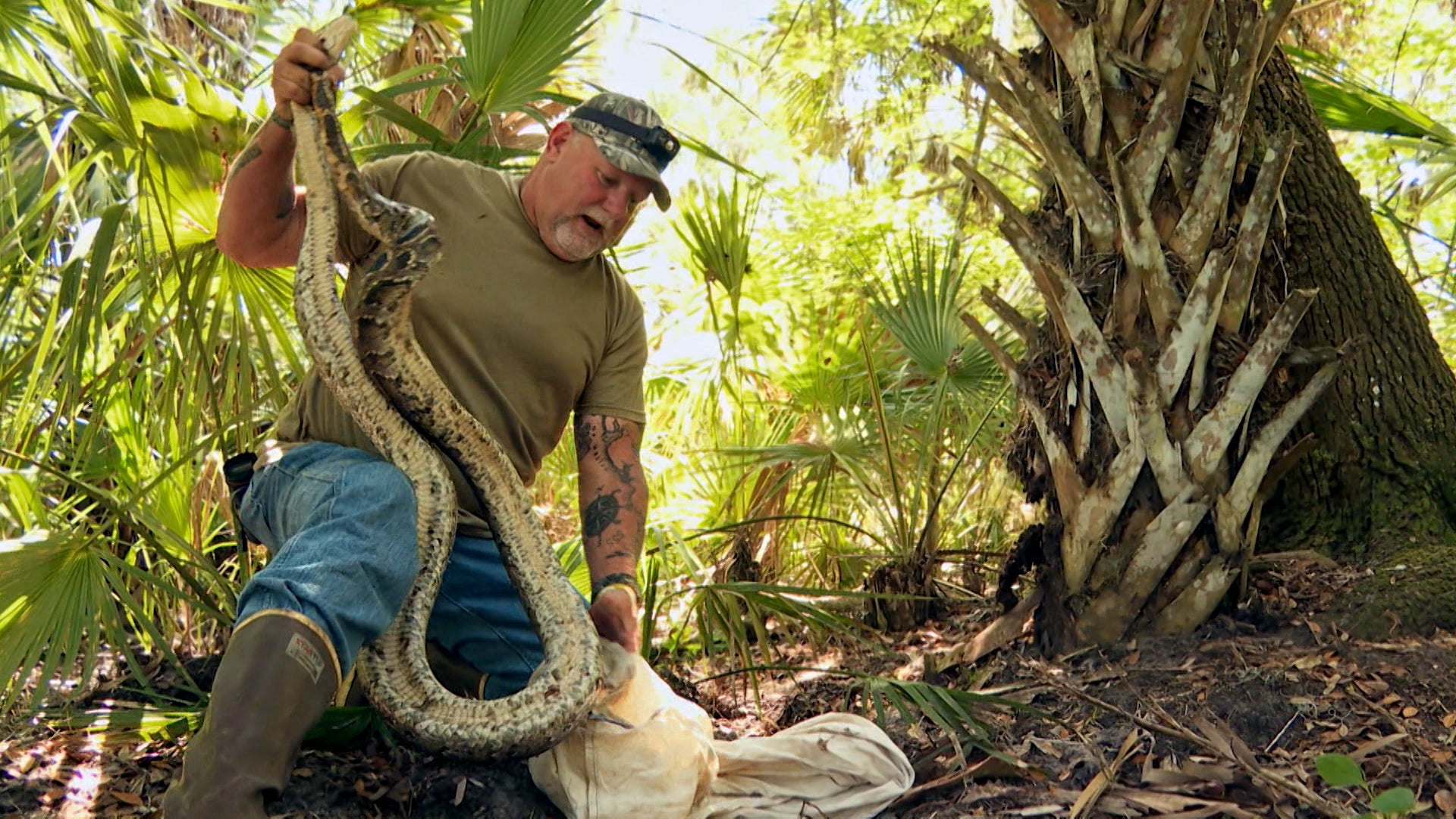 Swamp People: Serpent Invasion Season 3 Episode 11 Judas Snake