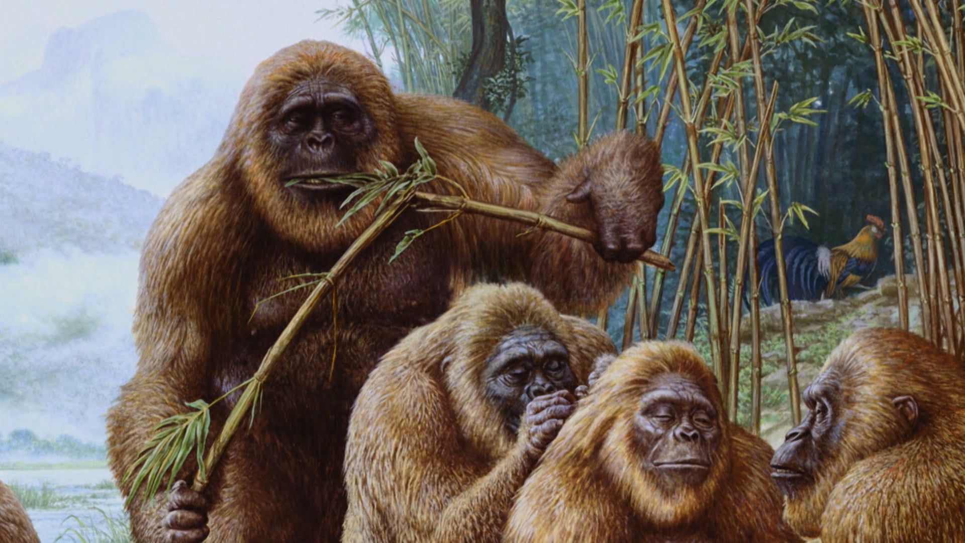 The Best Of Monsterquest Season 1 Episode 5 Dangerous Primates