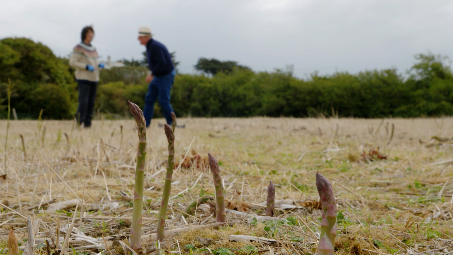 Rick Stein’s Cornwall Season 2 Episode 13 Episode 13