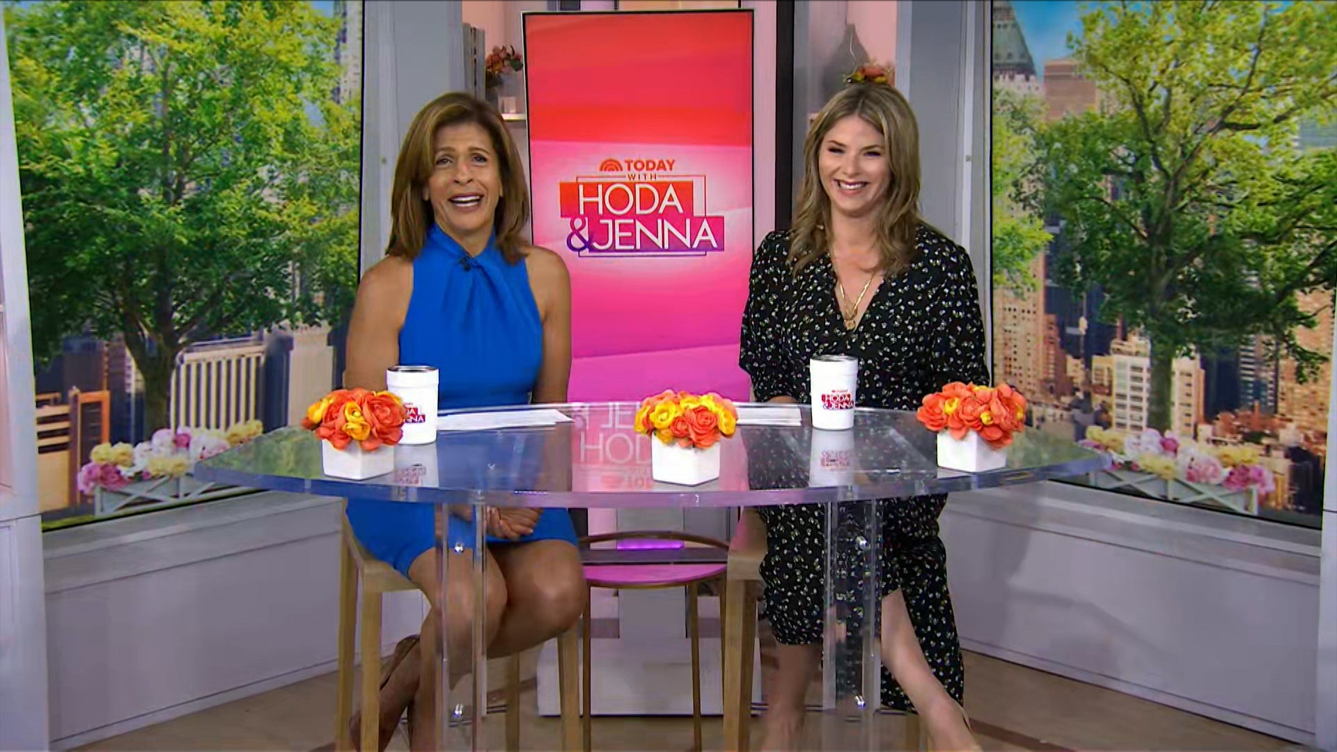 Today With Hoda & Jenna Season 3 Episode 387 Today With Hoda & Jenna (1): Ep 387