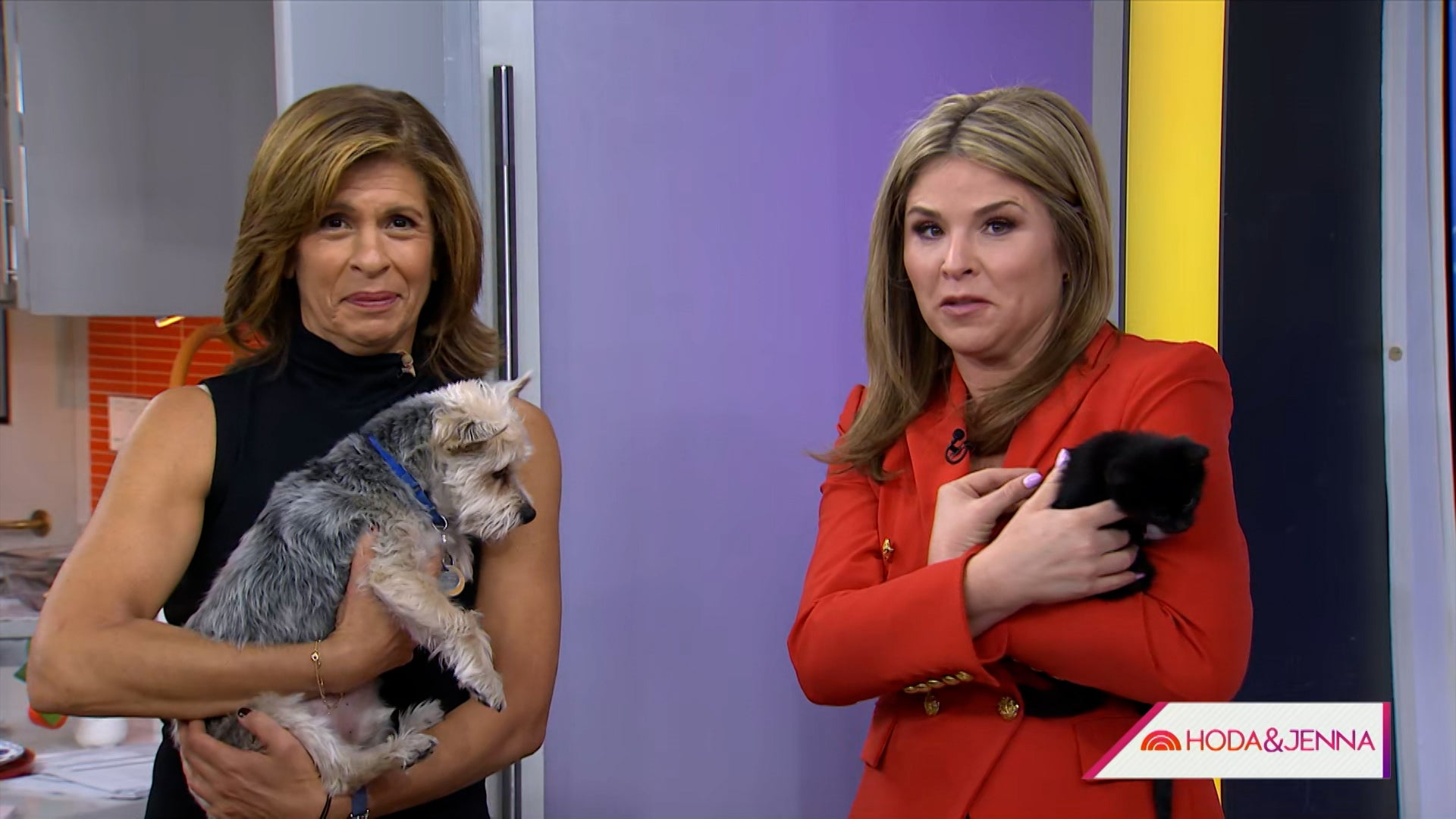 Today With Hoda & Jenna Season 70 Episode 15 Today With Hoda & Jenna (70): Ep  15