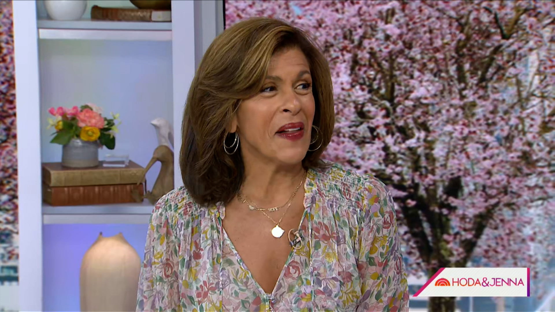 Today With Hoda & Jenna Season 70 Episode 105 Today With Hoda & Jenna (70): Ep 105