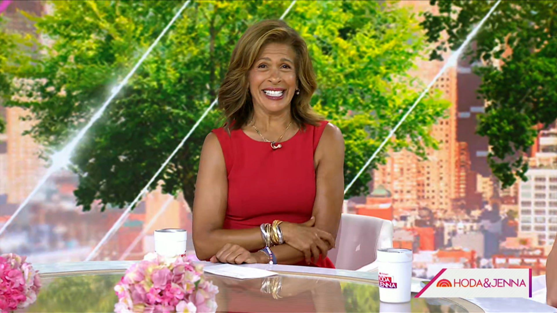 Today With Hoda & Jenna Season 70 Episode 167 Today With Hoda & Jenna (70): Ep 167