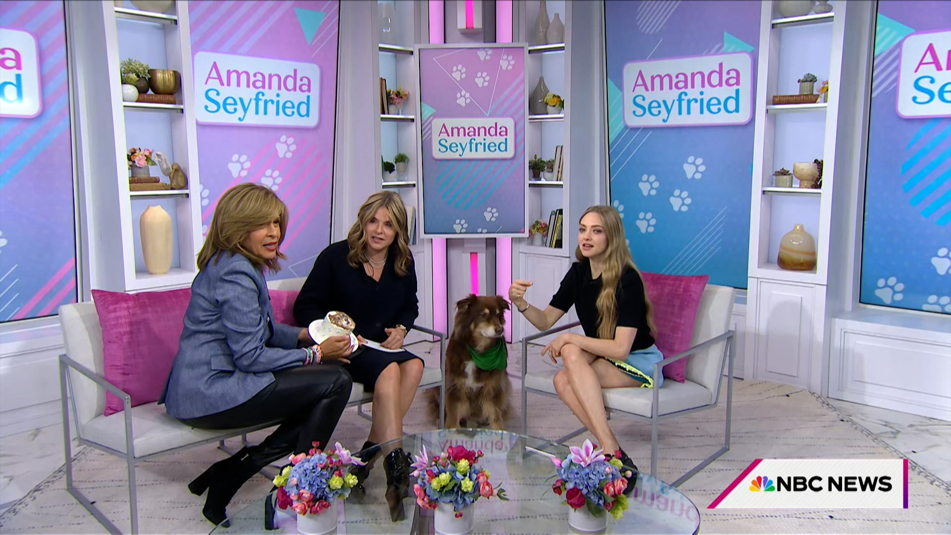 Today With Hoda & Jenna Season 71 Episode 206 Today With Hoda & Jenna (71): Ep 206