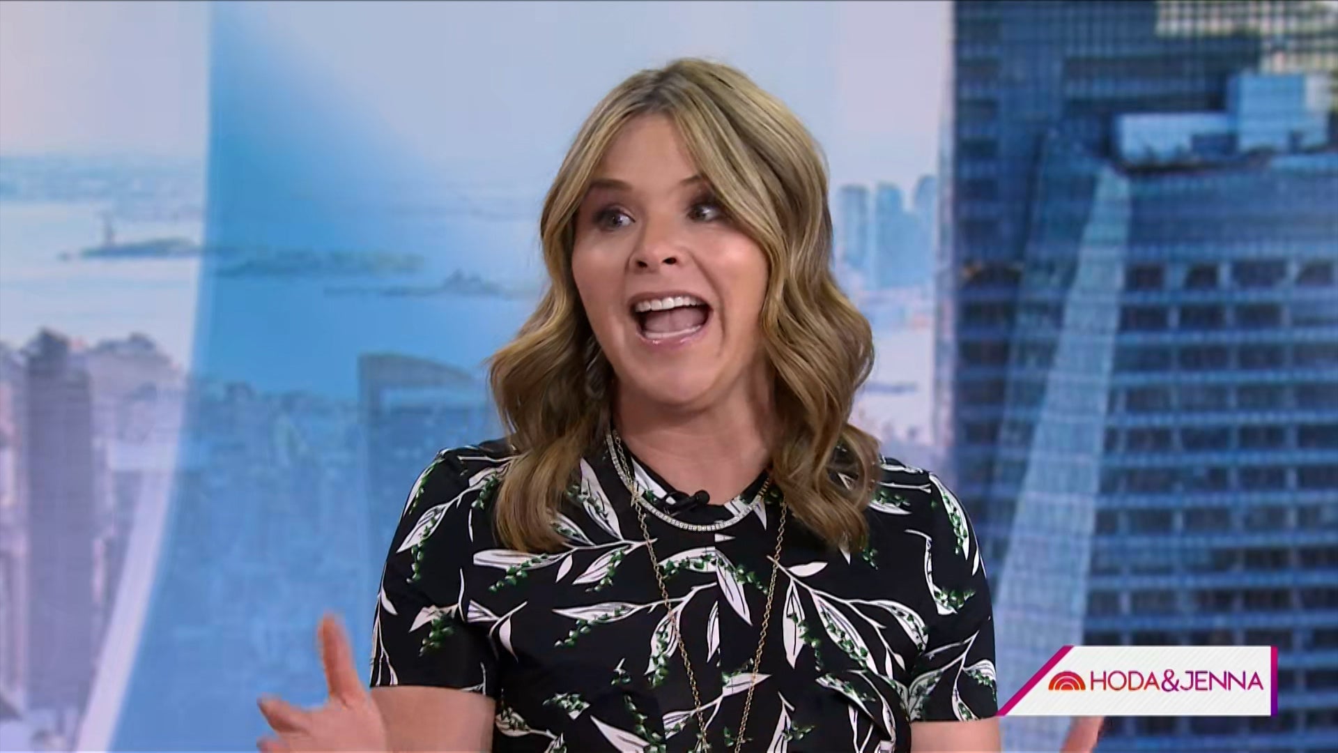 Today With Hoda & Jenna Season 71 Episode 208 Today With Hoda & Jenna (71): Ep 208