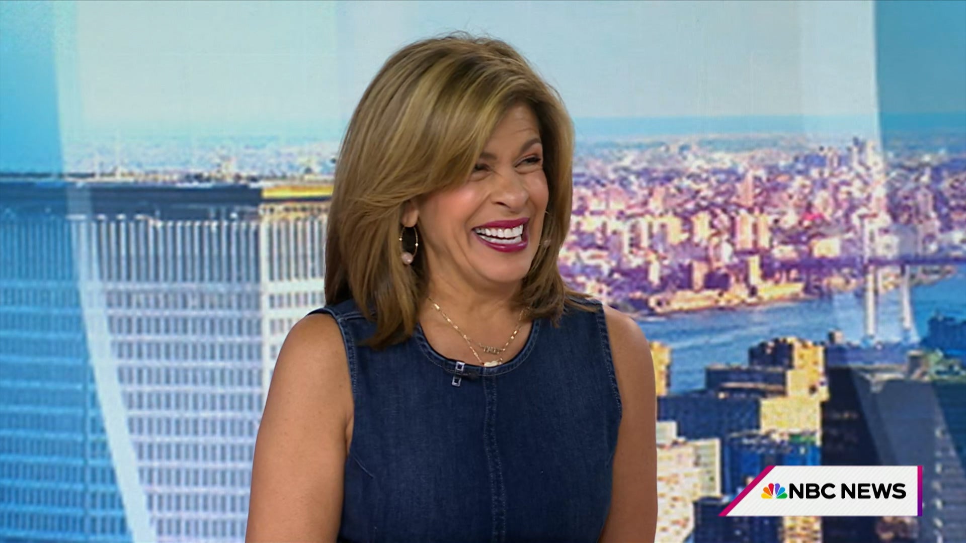 Today With Hoda & Jenna Season 71 Episode 225 Today With Hoda & Jenna (71): Ep 225