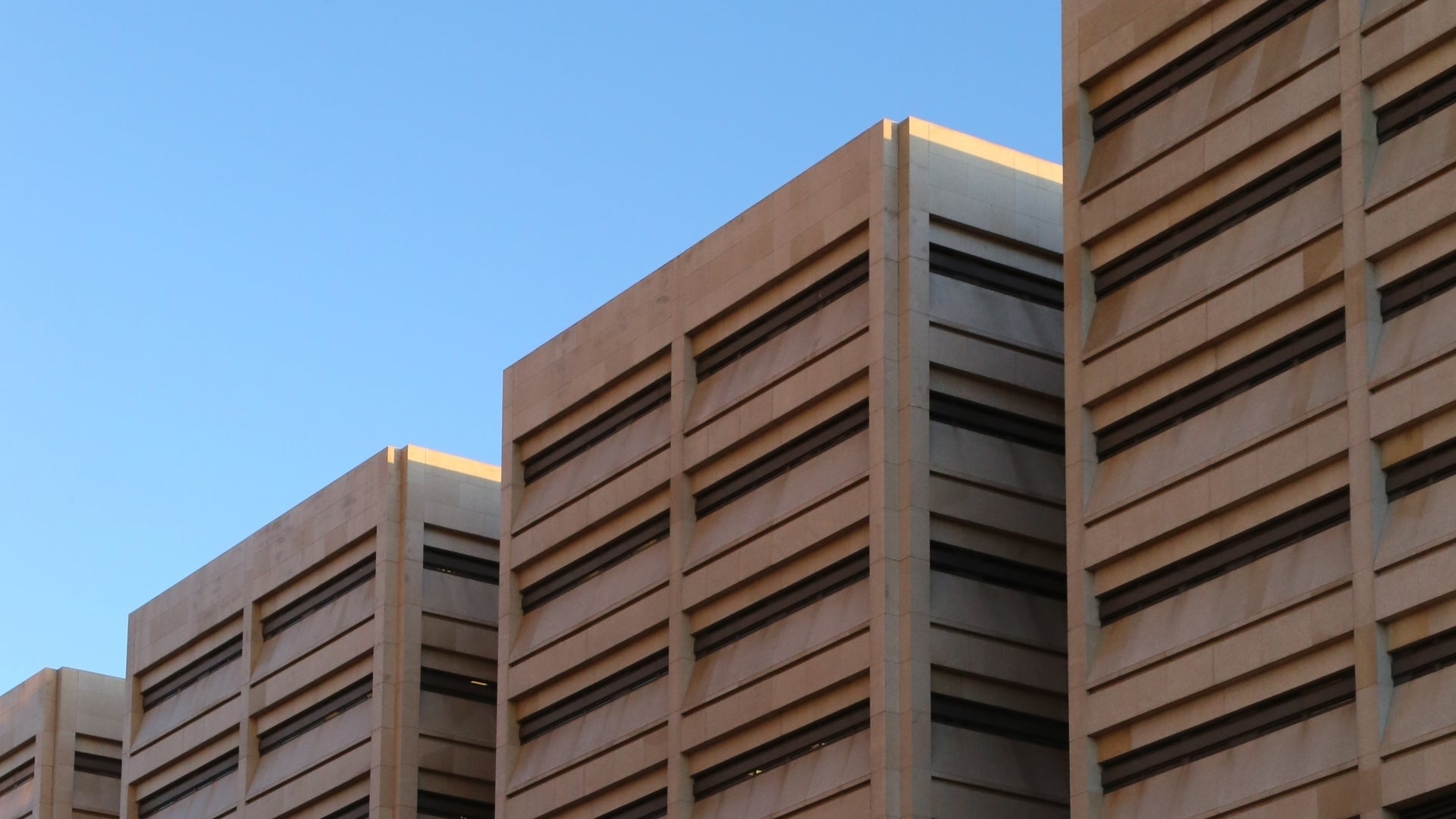 Chaos in Court Season 1 Episode 8 Fit Of Rage