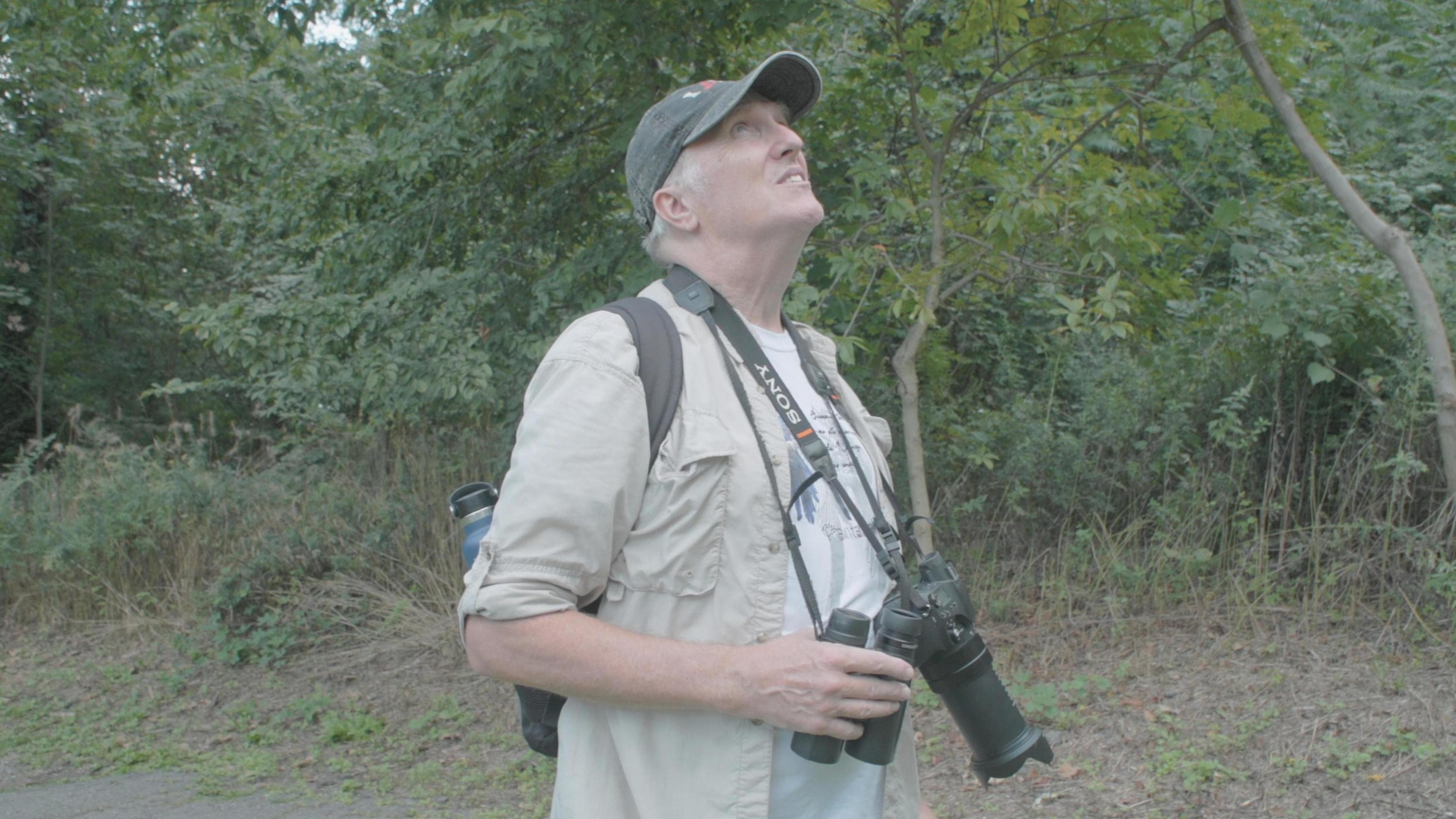 How To With John Wilson Season 3 Episode 5 How To Watch Birds
