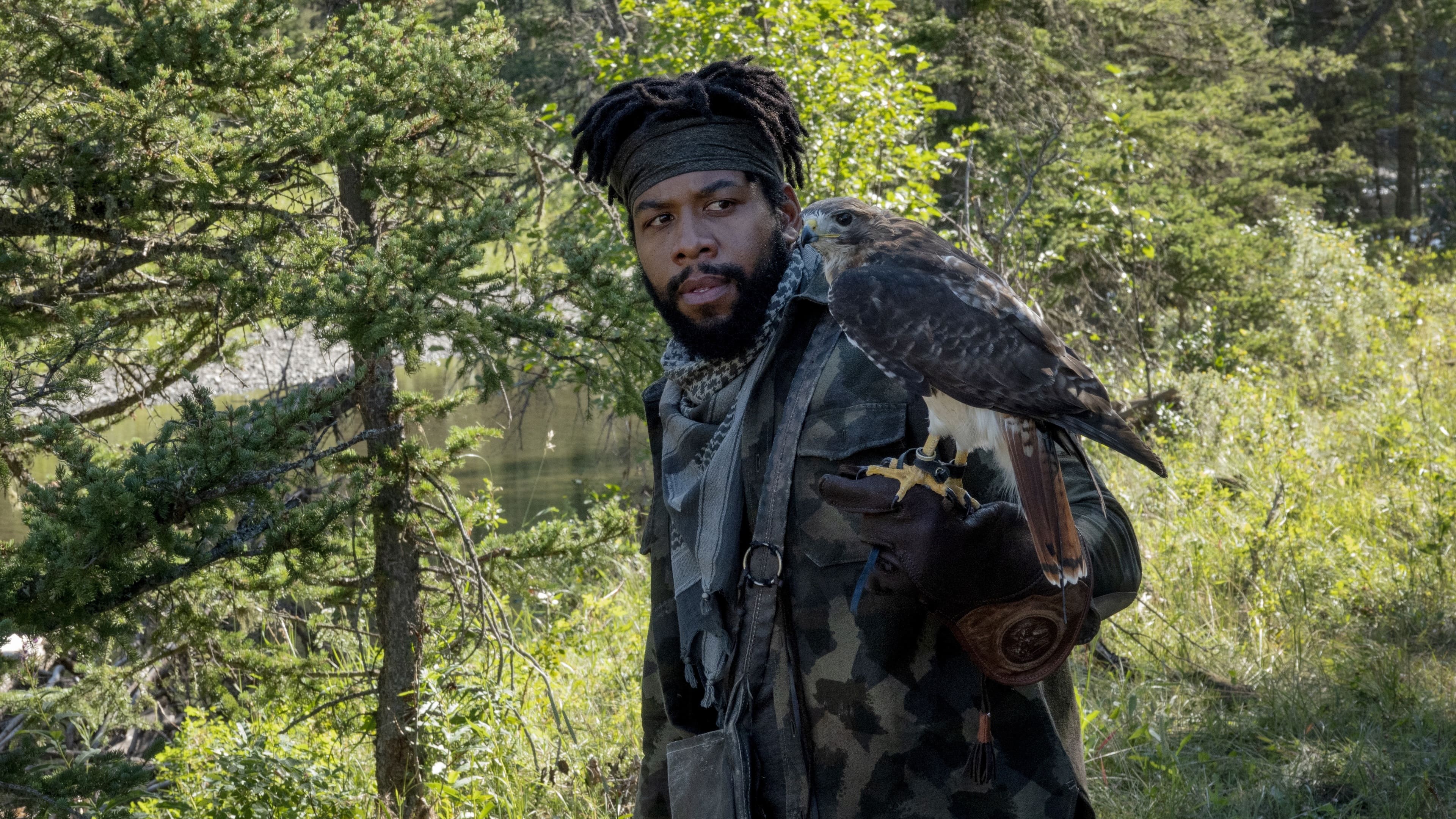 Joe Pickett Season 2 Episode 6 Ducks And Falcons