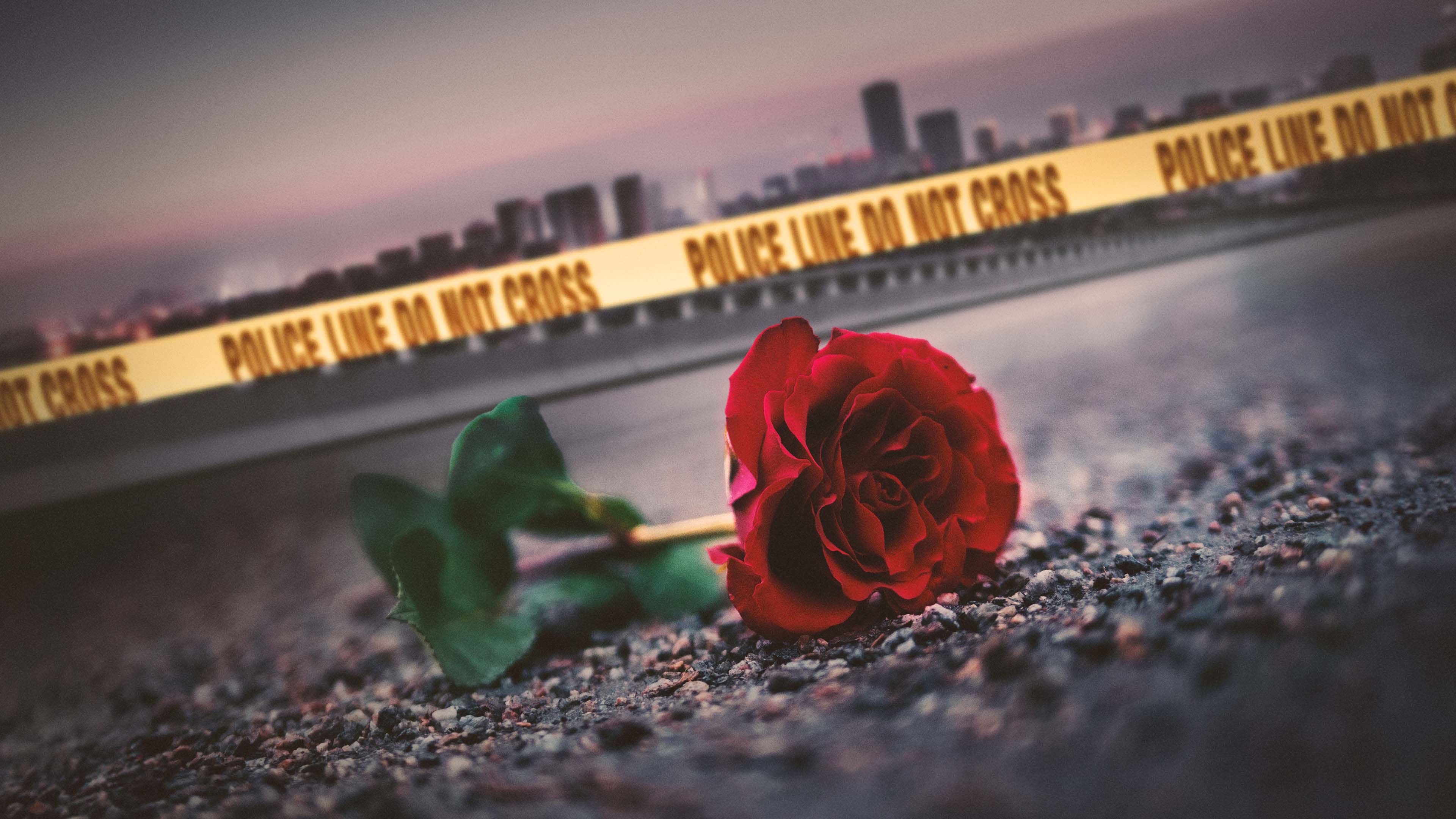 سيتي كونفيدنشال