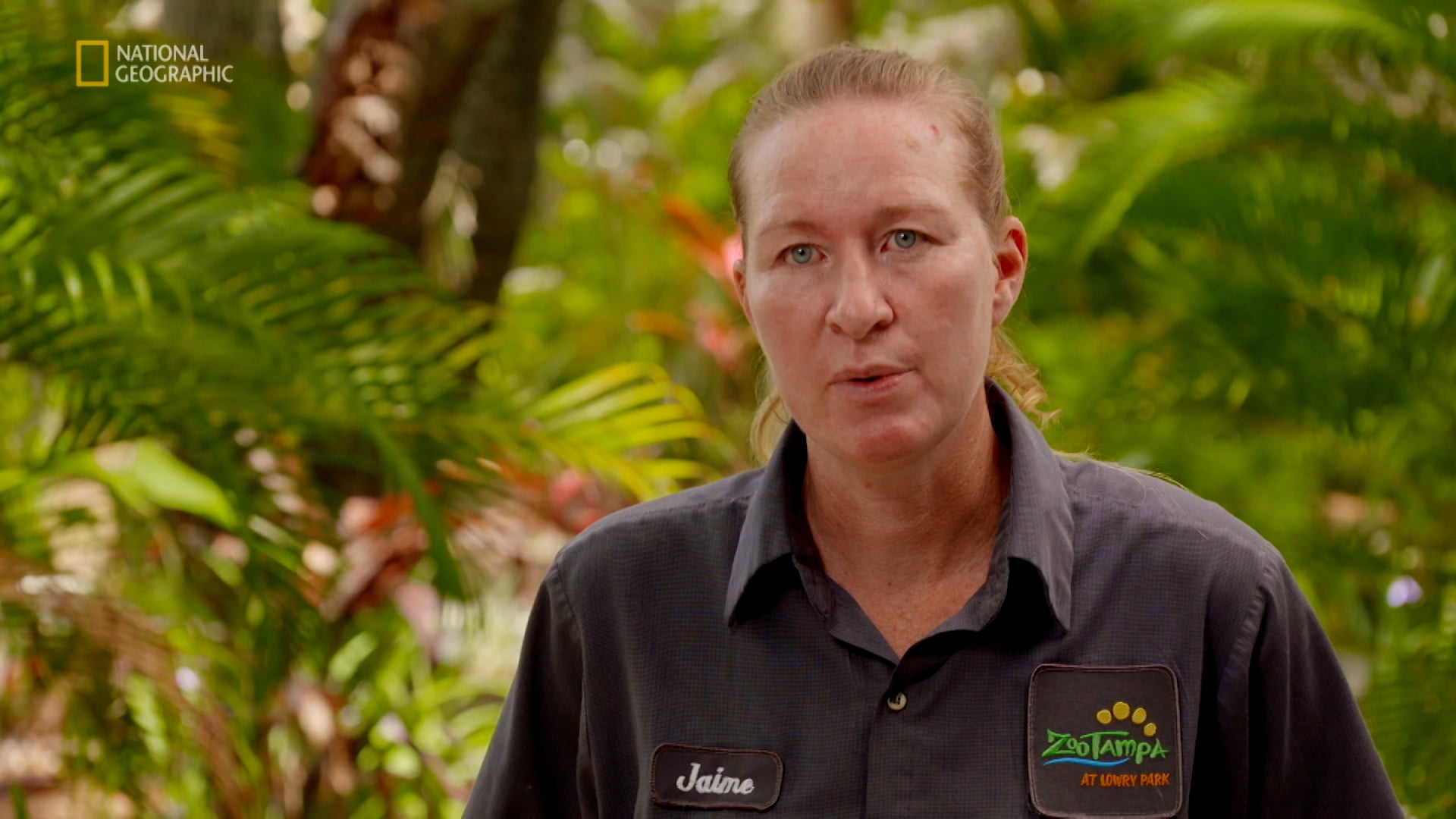 Secrets Of The Zoo: Tampa Season 3 Episode 8 A Tiger's Tale