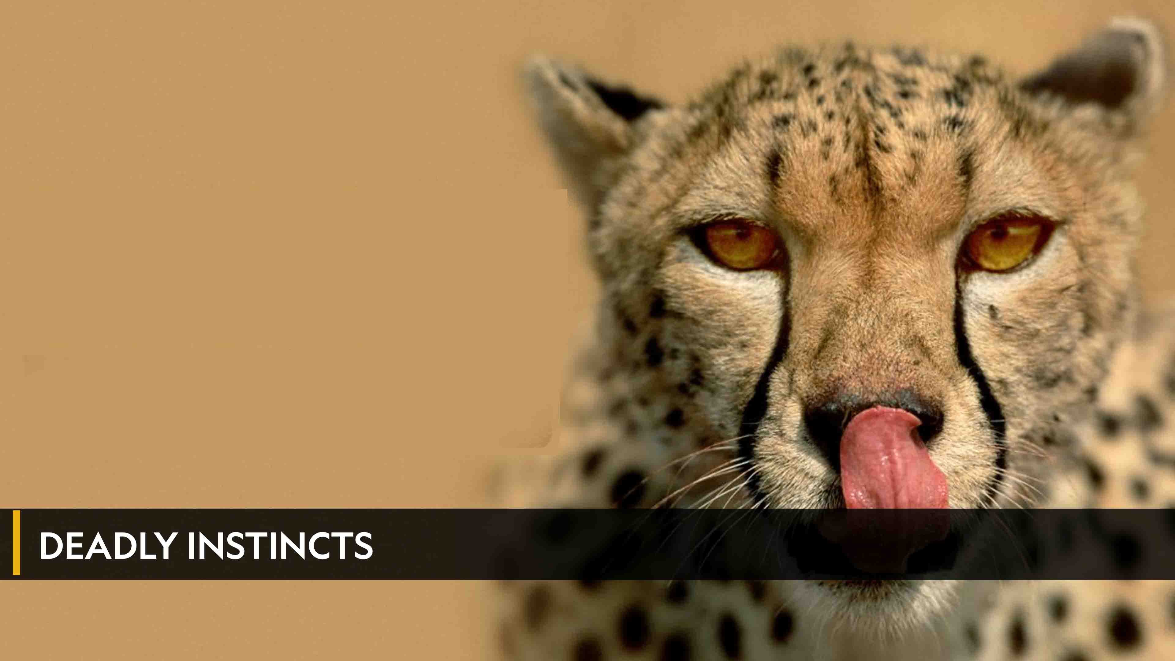 Deadly Instincts