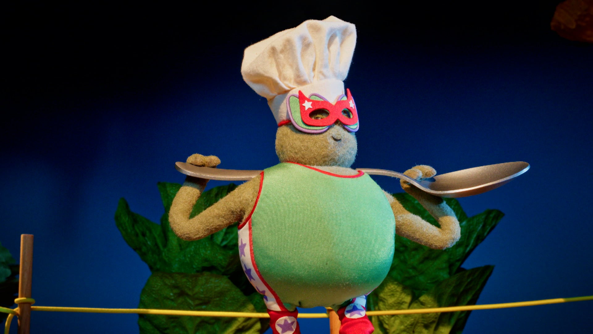 The Tiny Chef Show