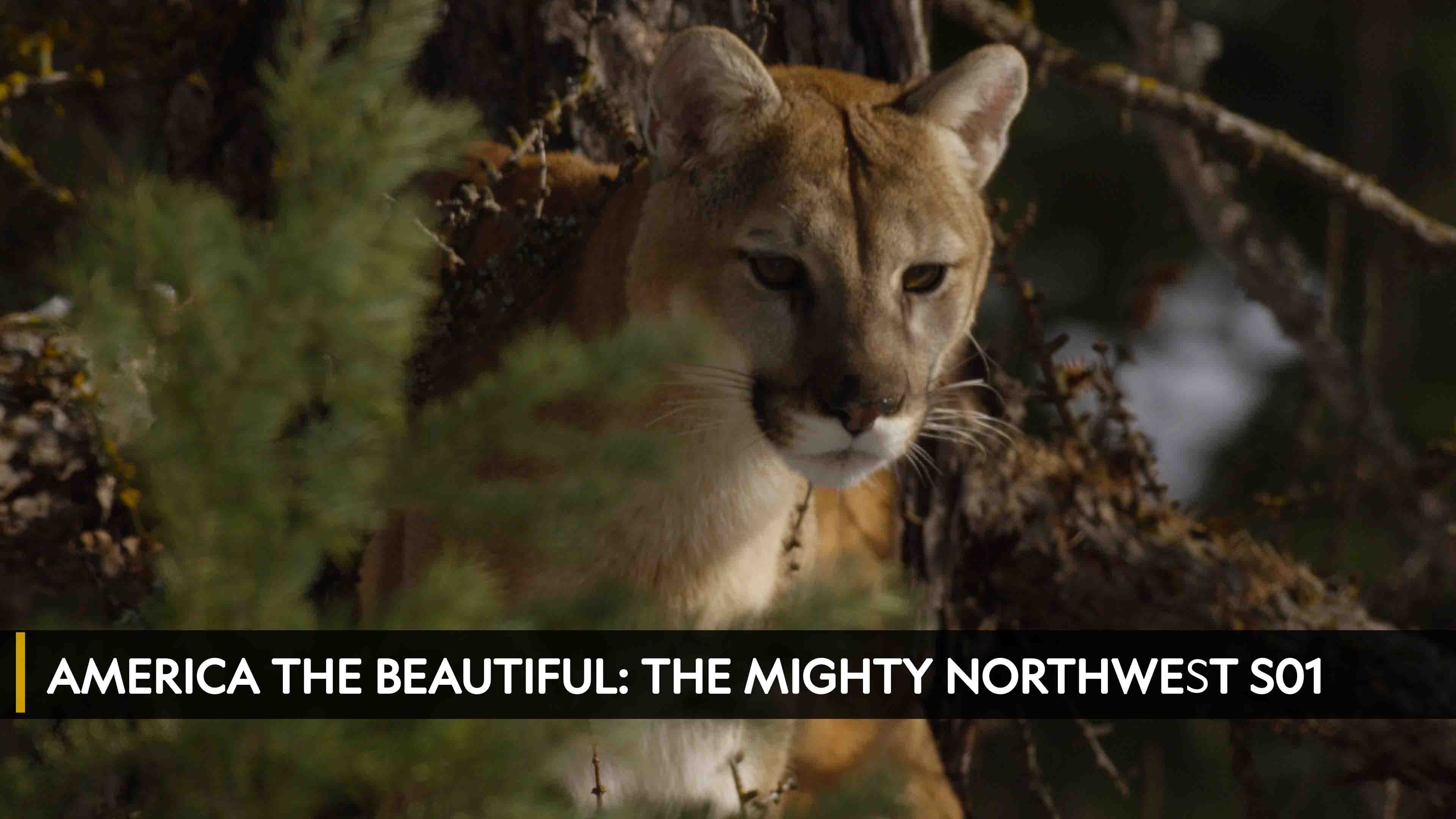 America The Beautiful: The Mighty Northwest الموسم 1 الحلقة 1 Under The Volcano