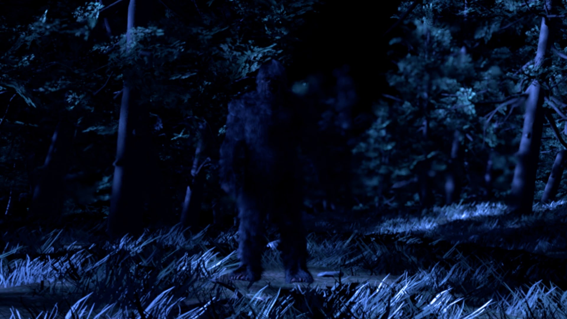 In Search Of Monsters Season 1 Episode 1 Bigfoot