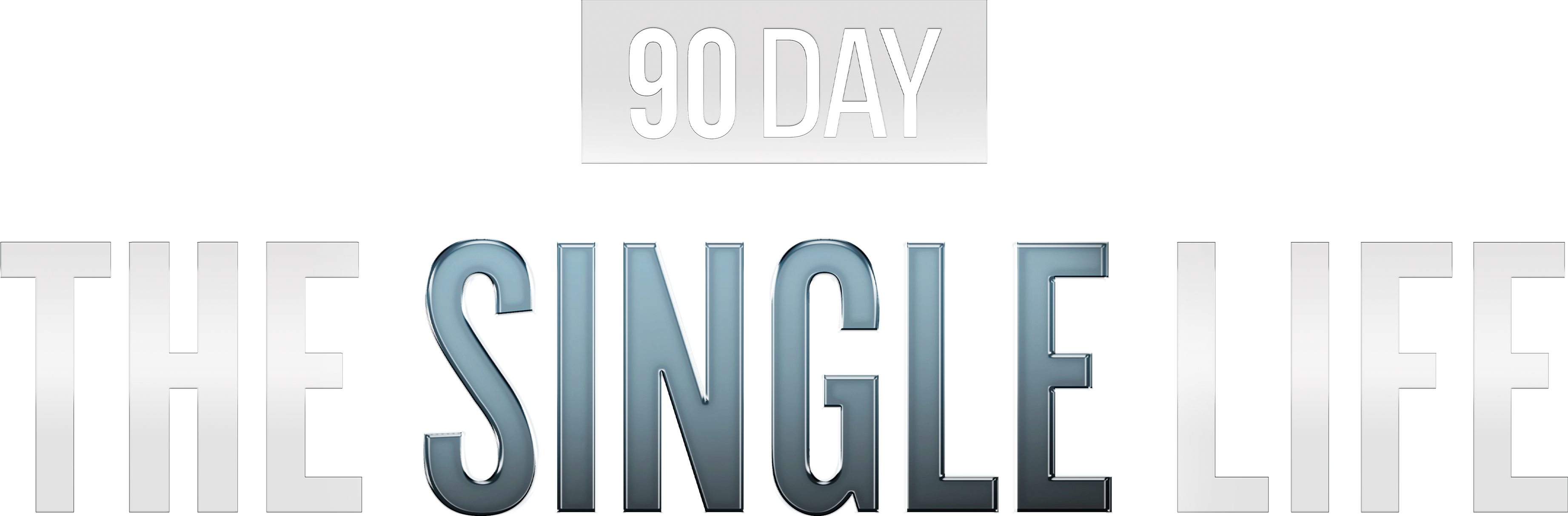 90 Day: The Single Life