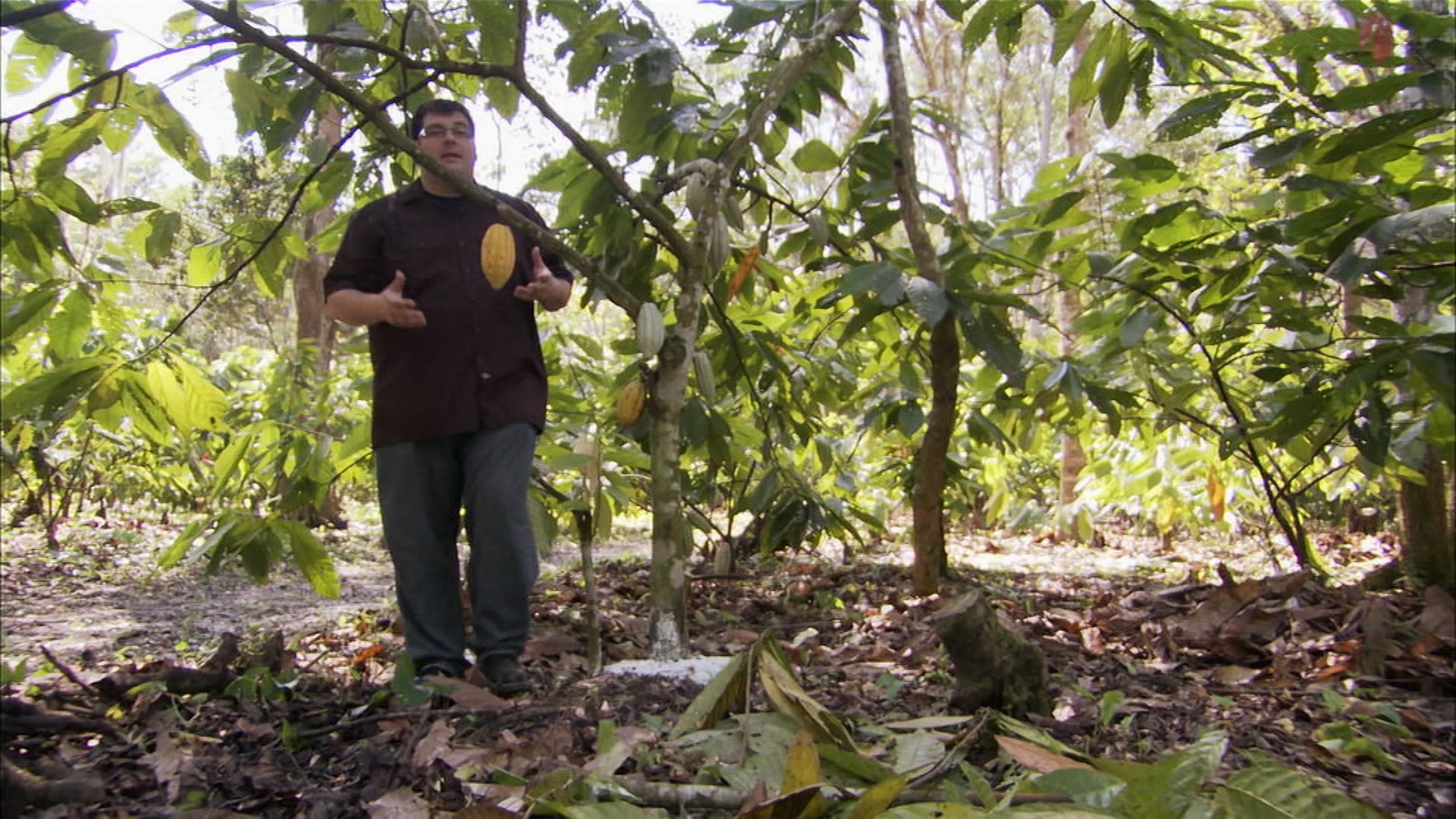 Food Tech Season 1 Episode 4 Mexican