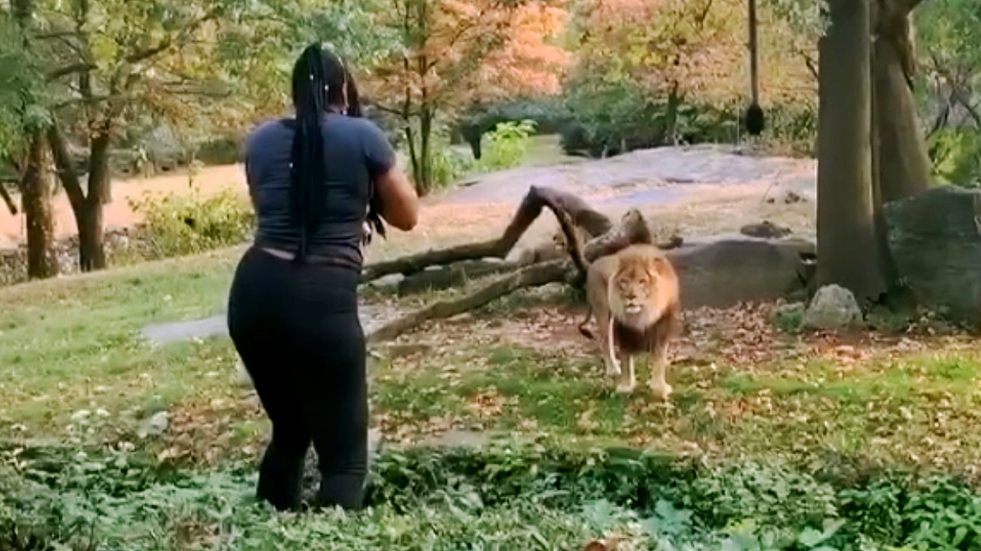 My Strange Arrest Season 1 Episode 4 Lion Lady
