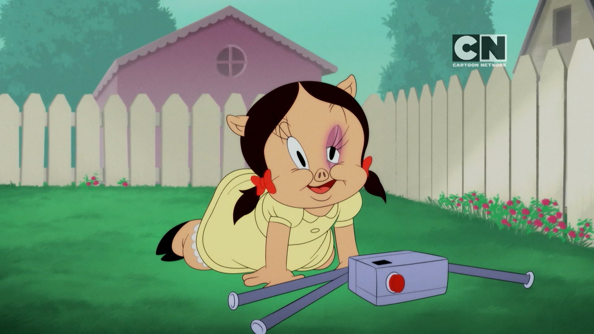 Looney Tunes Cartoons Season 1 Episode 30 Pigture Perfect/Telephone Pole Gags 2: Grappling