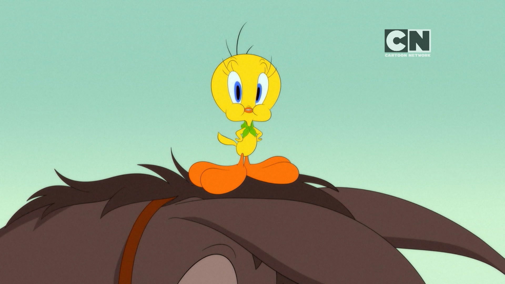 Looney Tunes Cartoons Season 4 Episode 8 Grand Canyon Canary/ Hole in Dumb