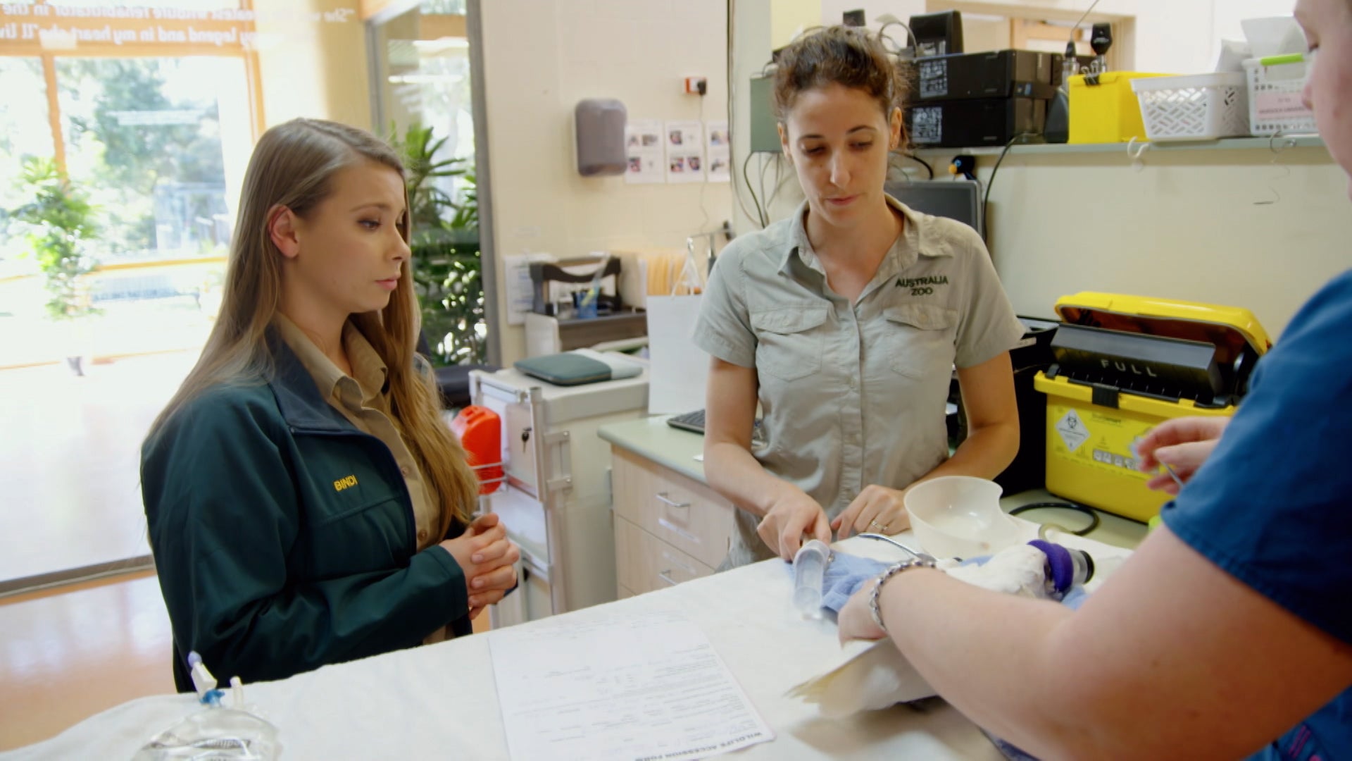 كريكي! اتس ذا إروينز الموسم 3 الحلقة 1 حديقة حيوان أستراليا تفتح من جديد