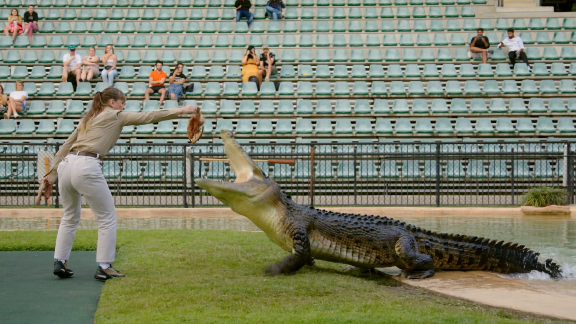 كريكي! اتس ذا إروينز الموسم 3 الحلقة 2 توائم النمور الثلاثة
