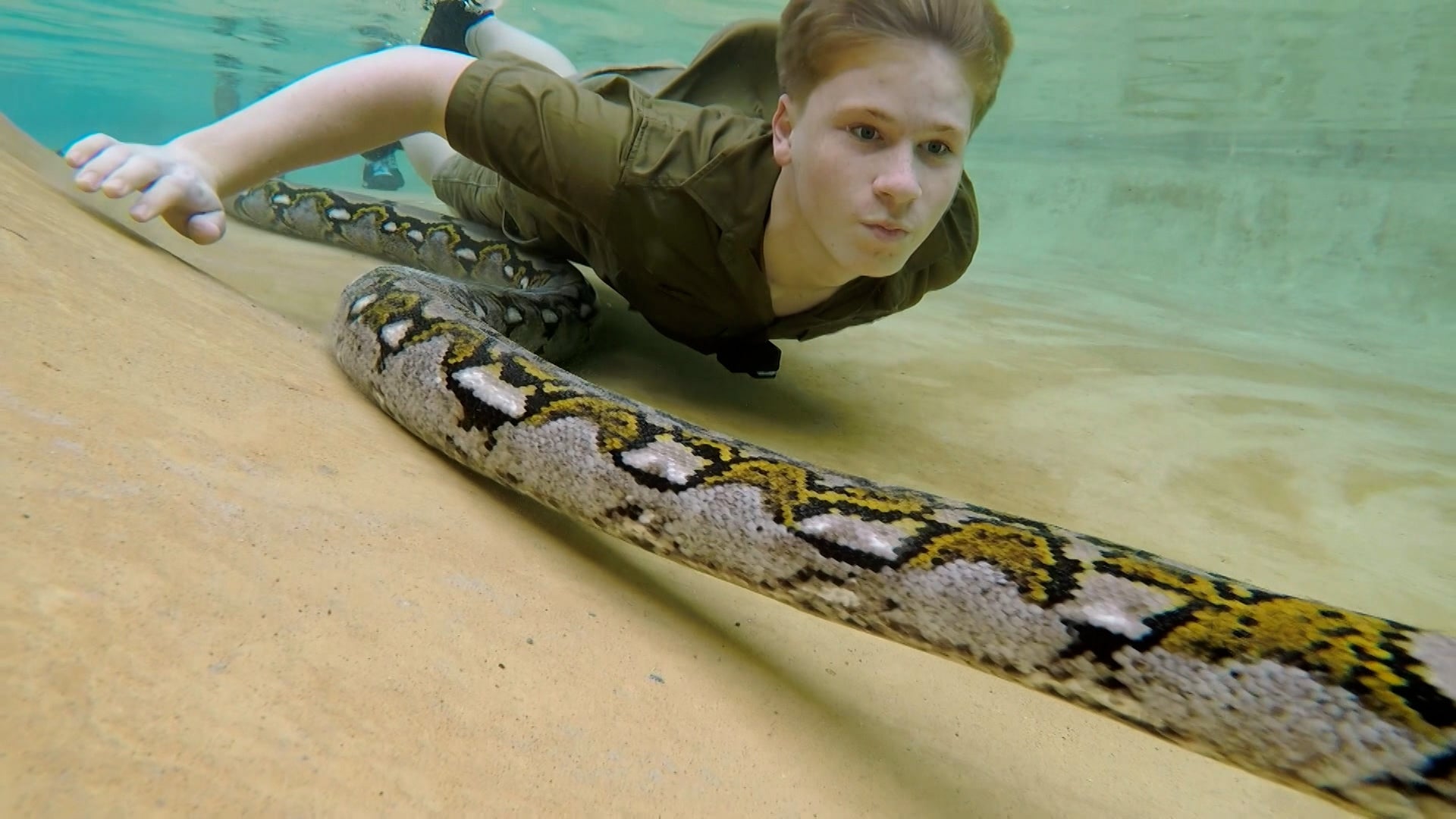 كريكي! اتس ذا إروينز الموسم 3 الحلقة 6 باجل مزدوج