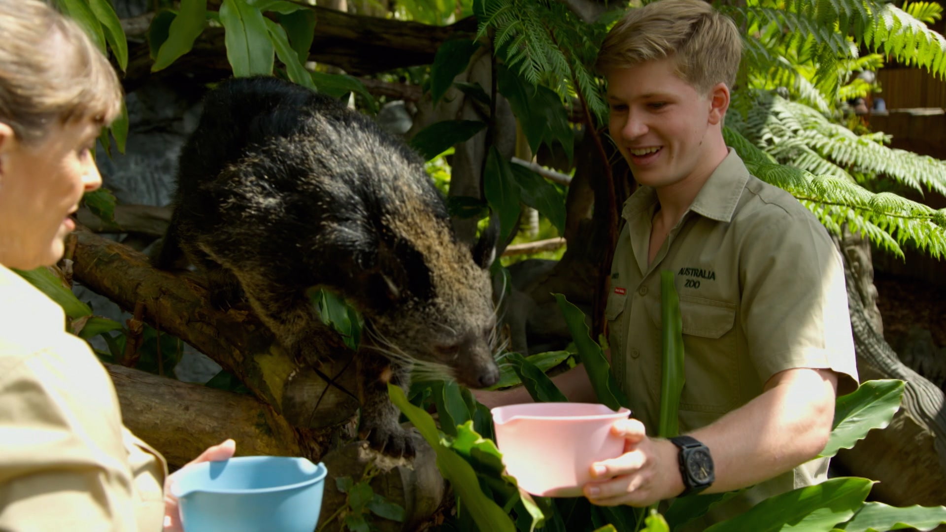 Crikey! It's The Irwins Season 3 Episode 10 Backyard Croc Rescue