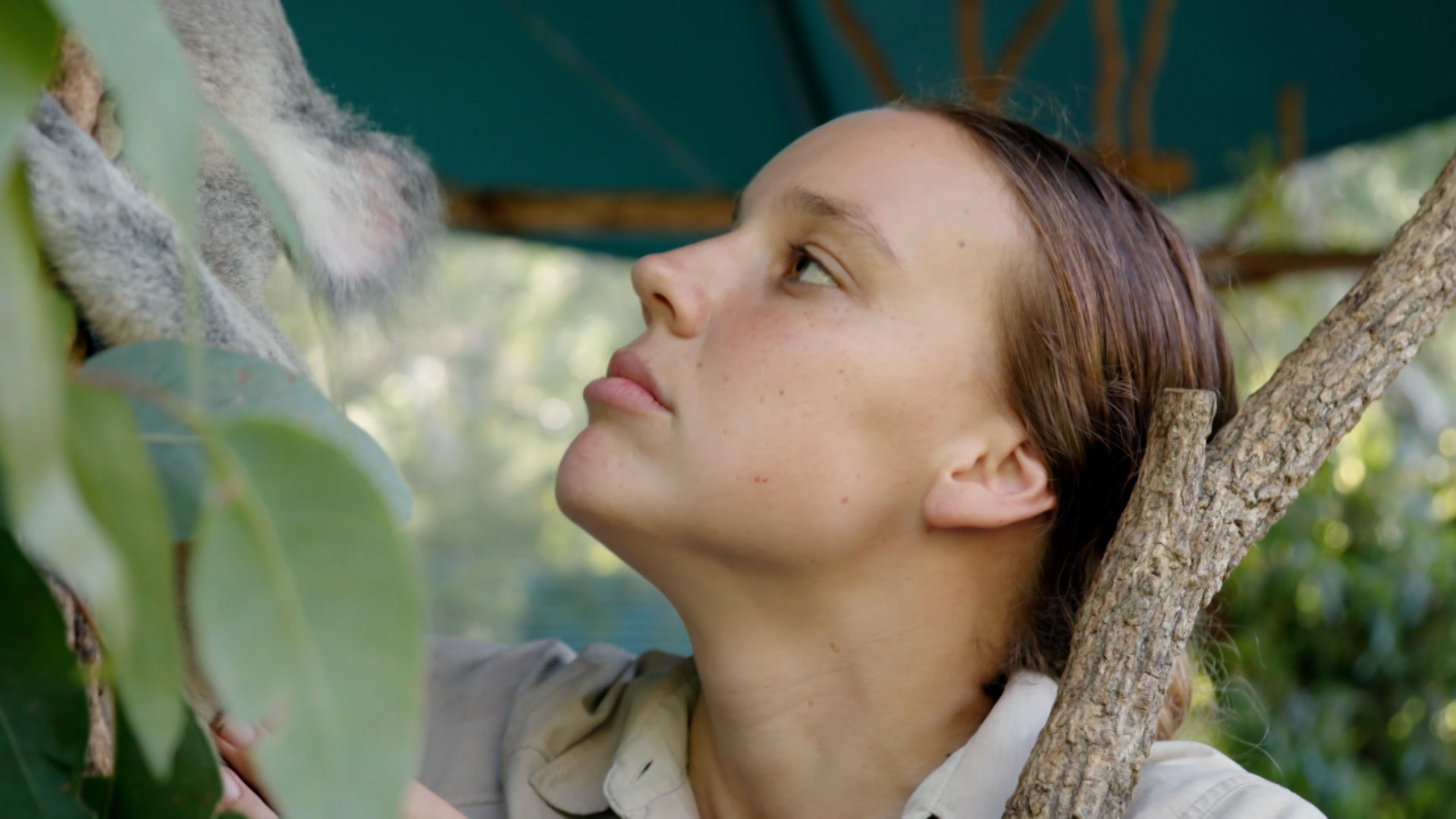 كريكي! اتس ذا إروينز الموسم 2 الحلقة 1 التمساح بوسكو وانتقاله الكبير