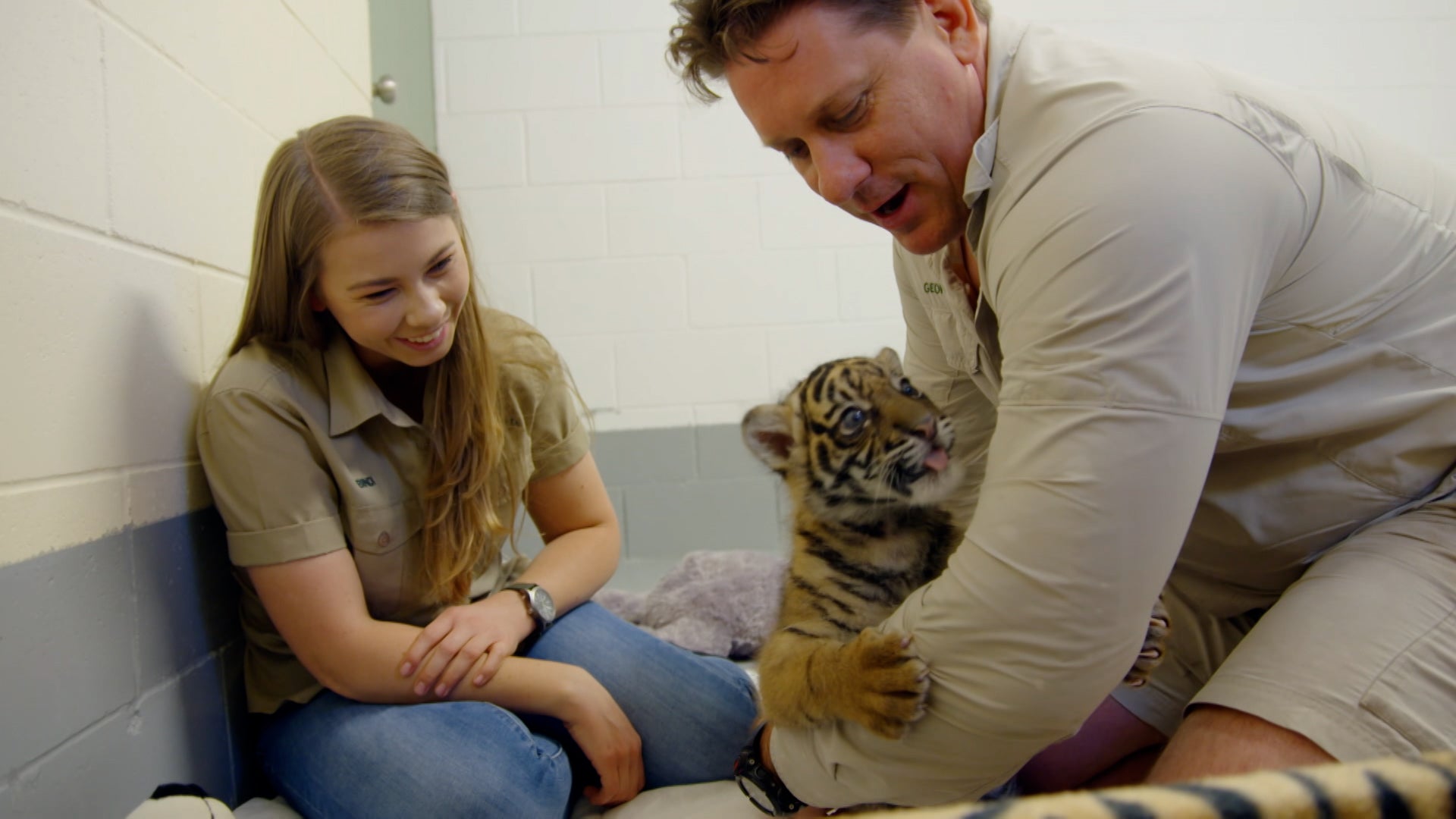 كريكي! اتس ذا إروينز الموسم 2 الحلقة 10 تحرير السلاحف