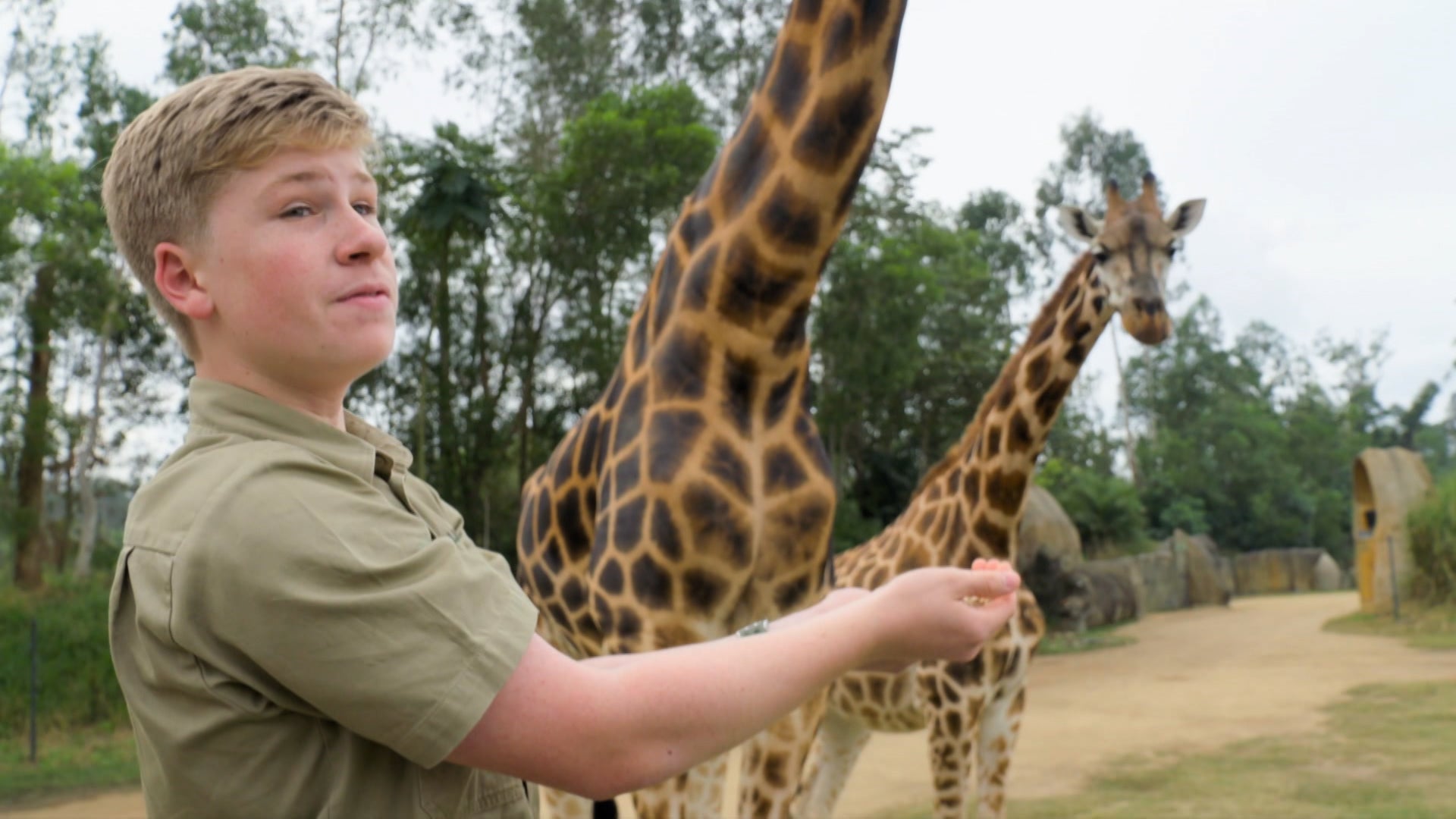 Crikey! It's The Irwins Season 1 Episode 2 Tiger Eyes