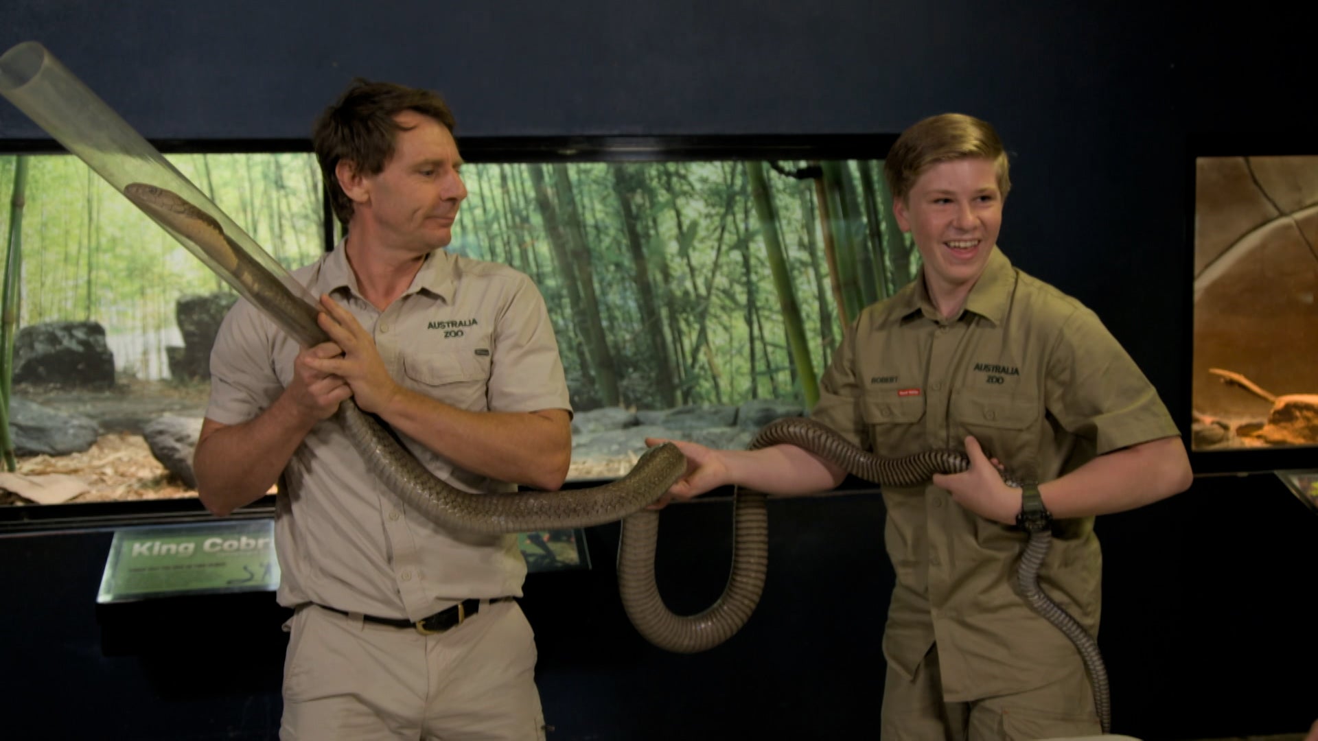 Crikey! It's The Irwins Season 1 Episode 4 Robert, King of Cobras