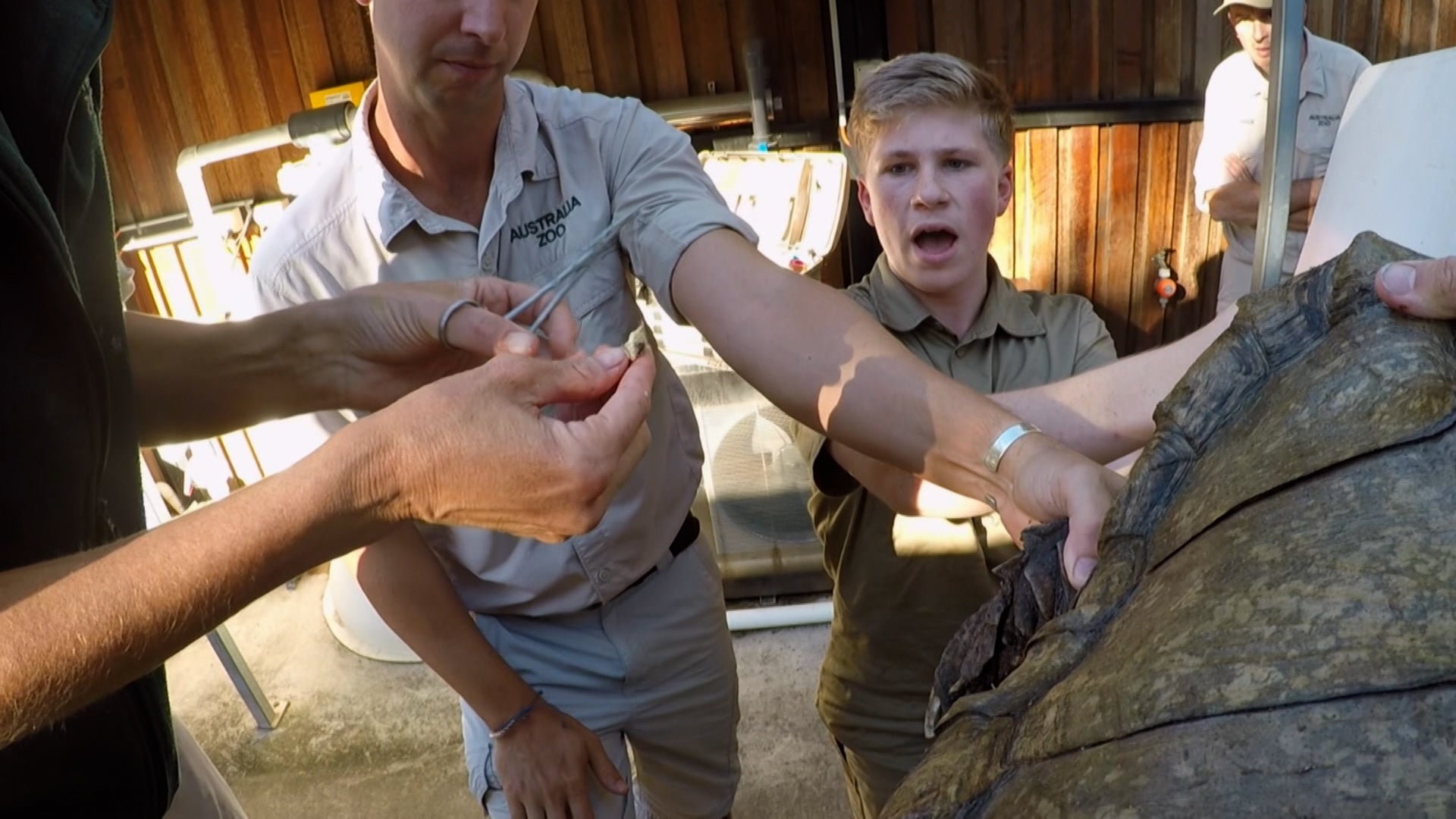 Crikey! It's The Irwins Season 1 Episode 5 Bindi's Lemur Island