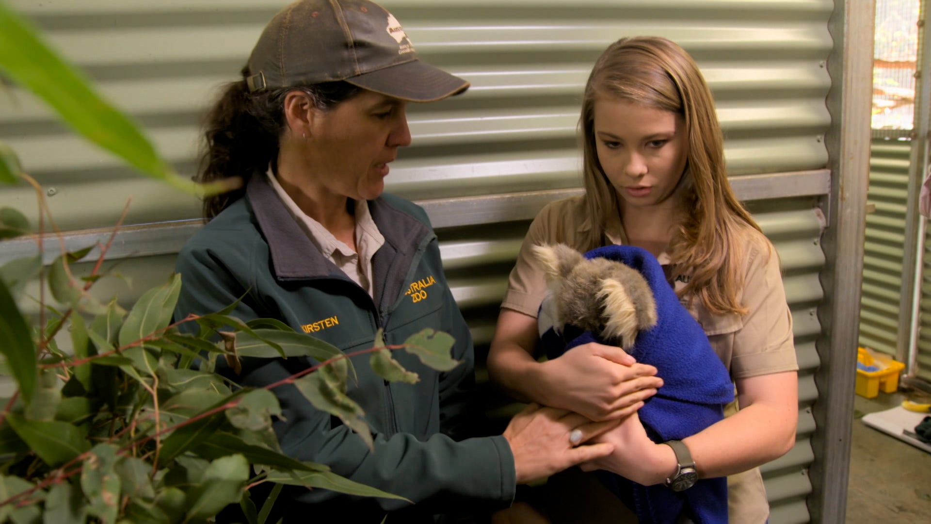 Crikey! It's The Irwins Season 1 Episode 9 Race to Save the Platypus