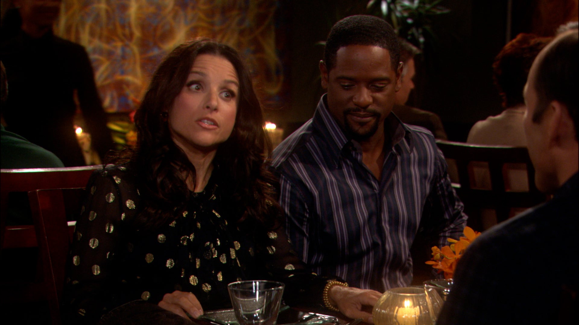 The New Adventures Of Old Christine Season 3 Episode 2 Beauty Is Only Spanx Deep