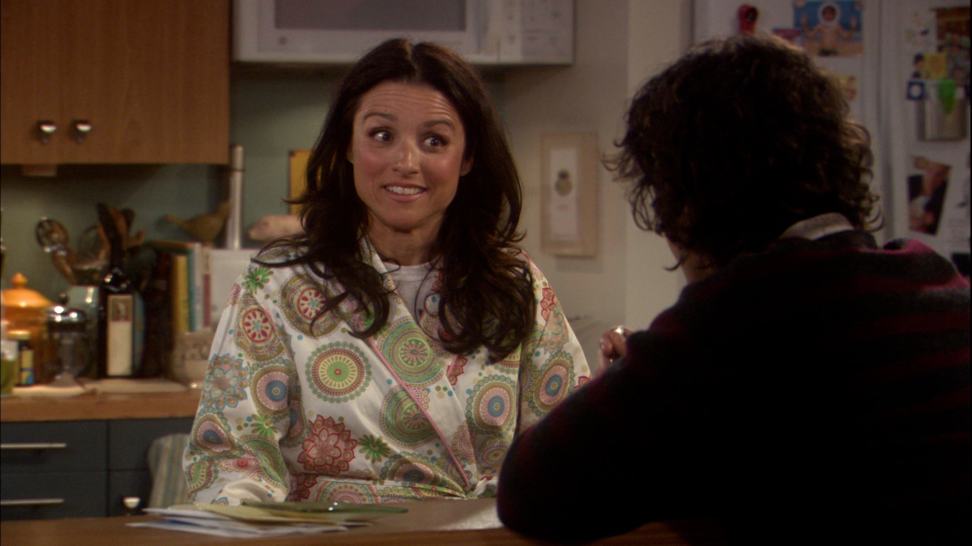 The New Adventures Of Old Christine Season 3 Episode 9 The Happy Couple