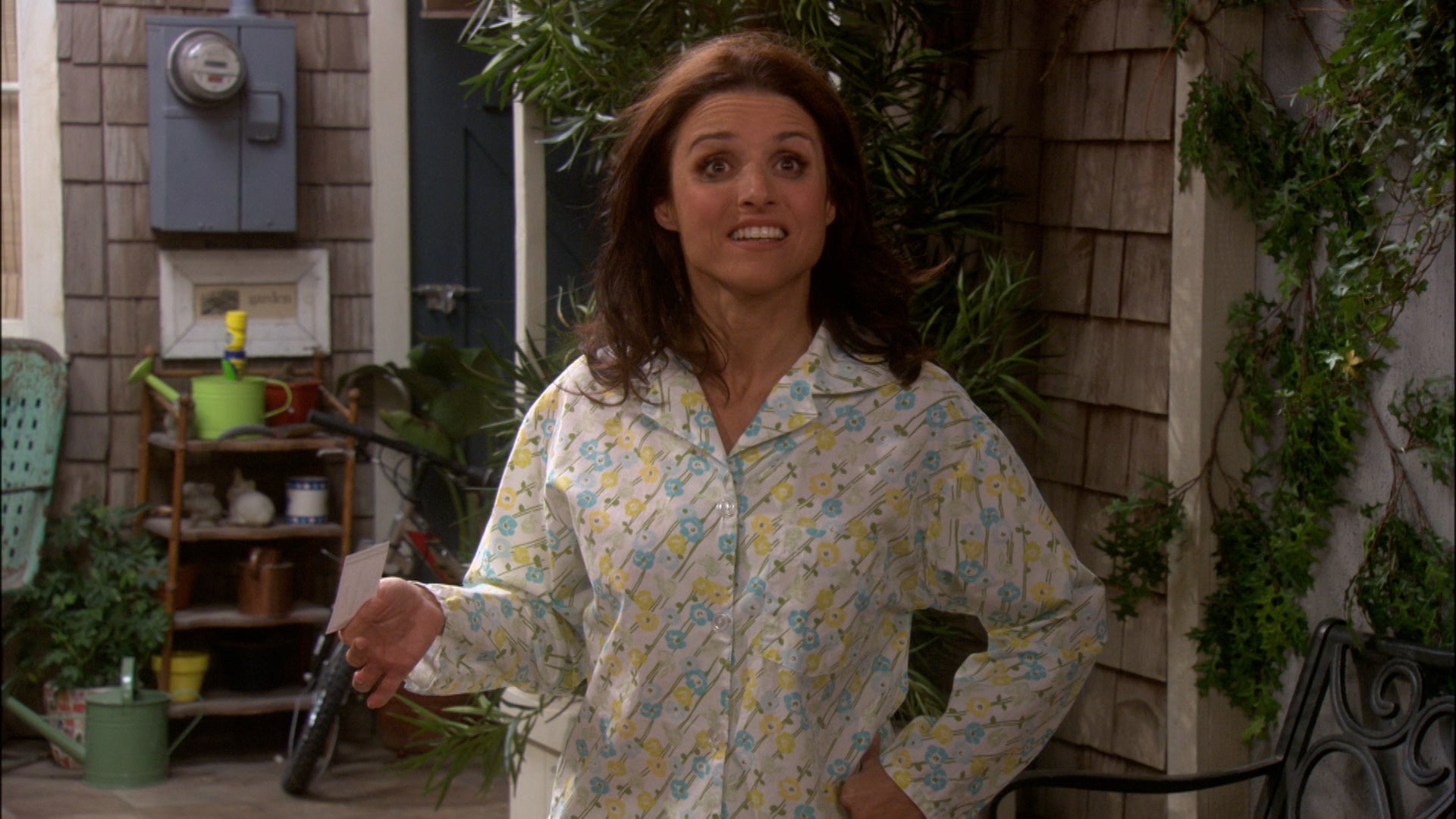 The New Adventures Of Old Christine Season 2 Episode 15 Sleepless in Mar Vista