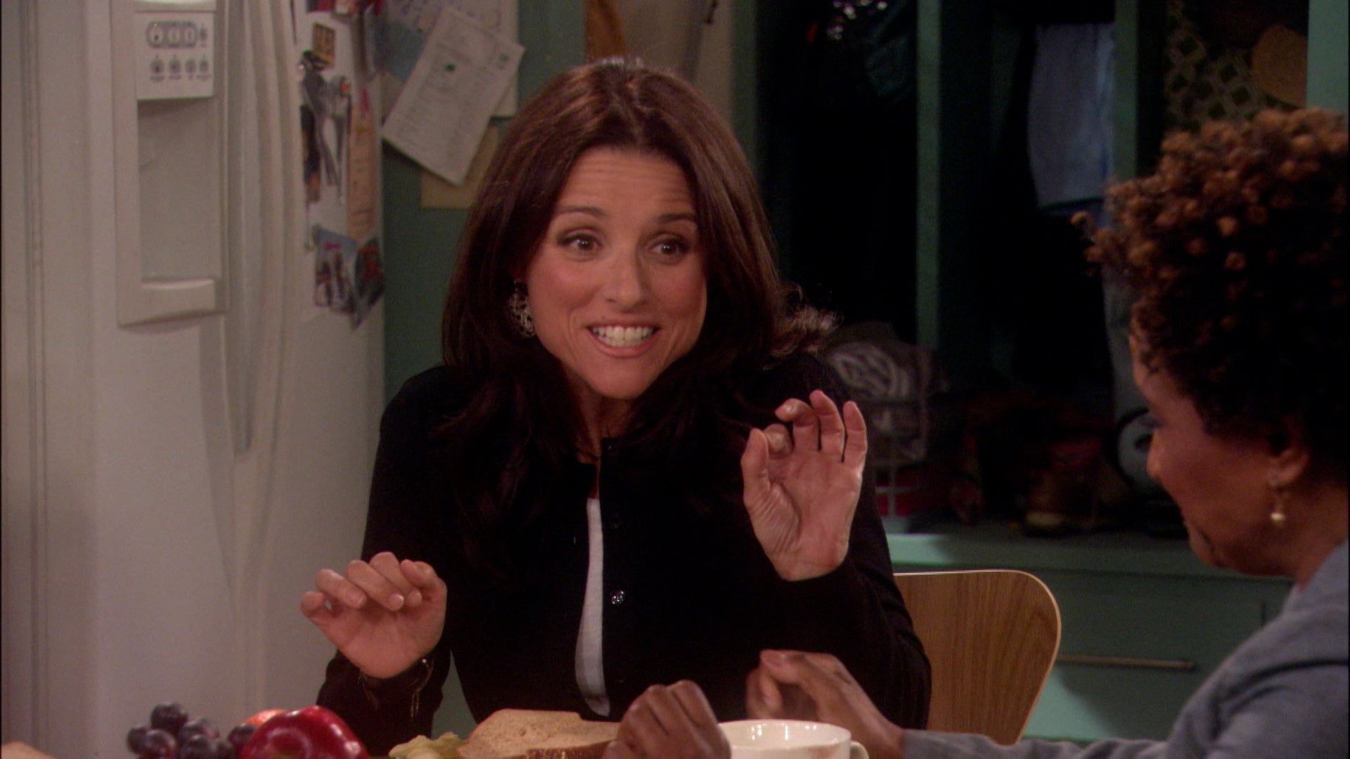 The New Adventures Of Old Christine Season 5 Episode 14 A Family Unfair