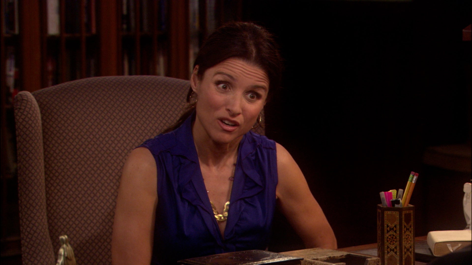 The New Adventures Of Old Christine Season 5 Episode 15 Sweet Charity