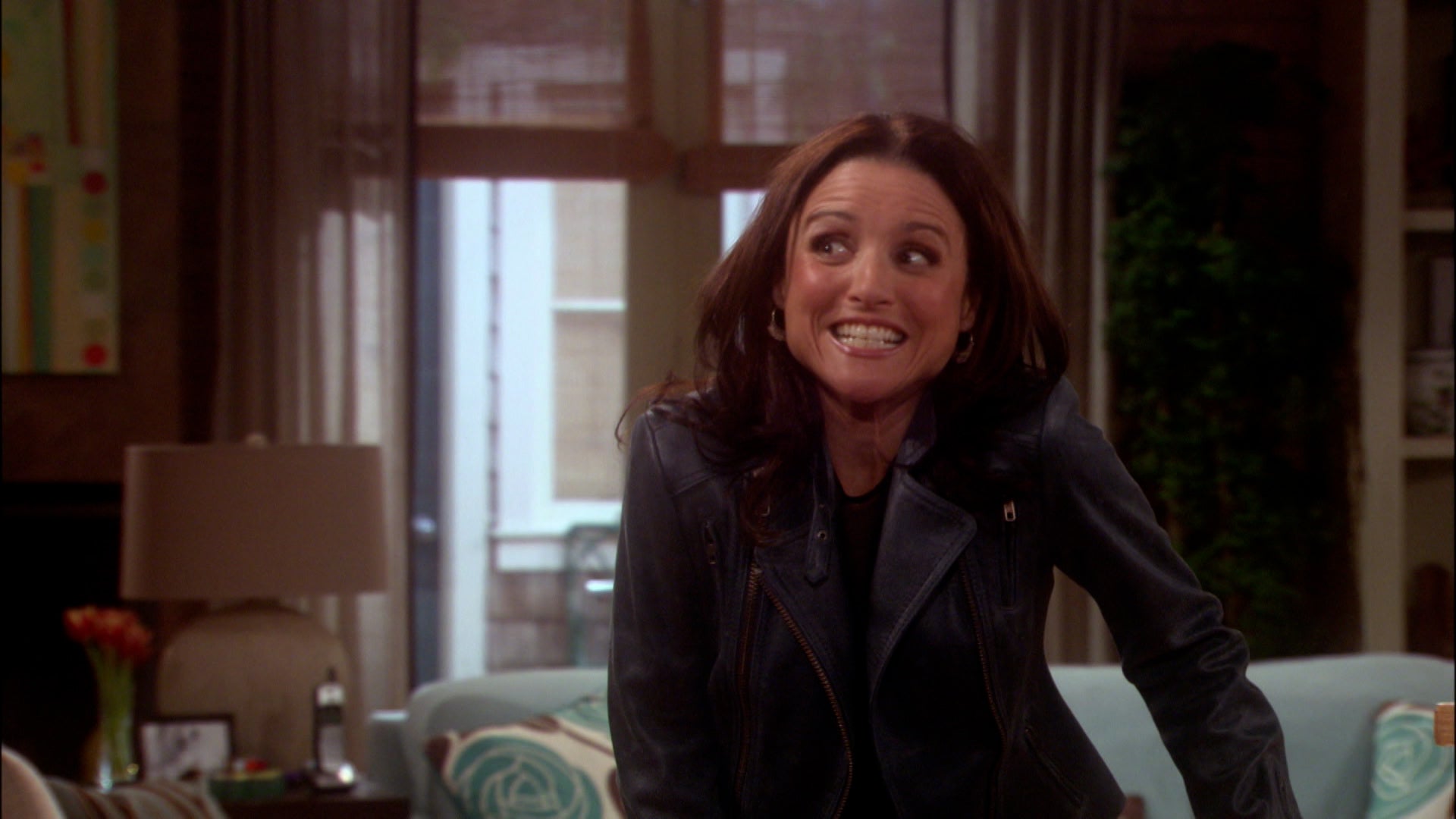 The New Adventures Of Old Christine Season 5 Episode 17 Up In the Airport