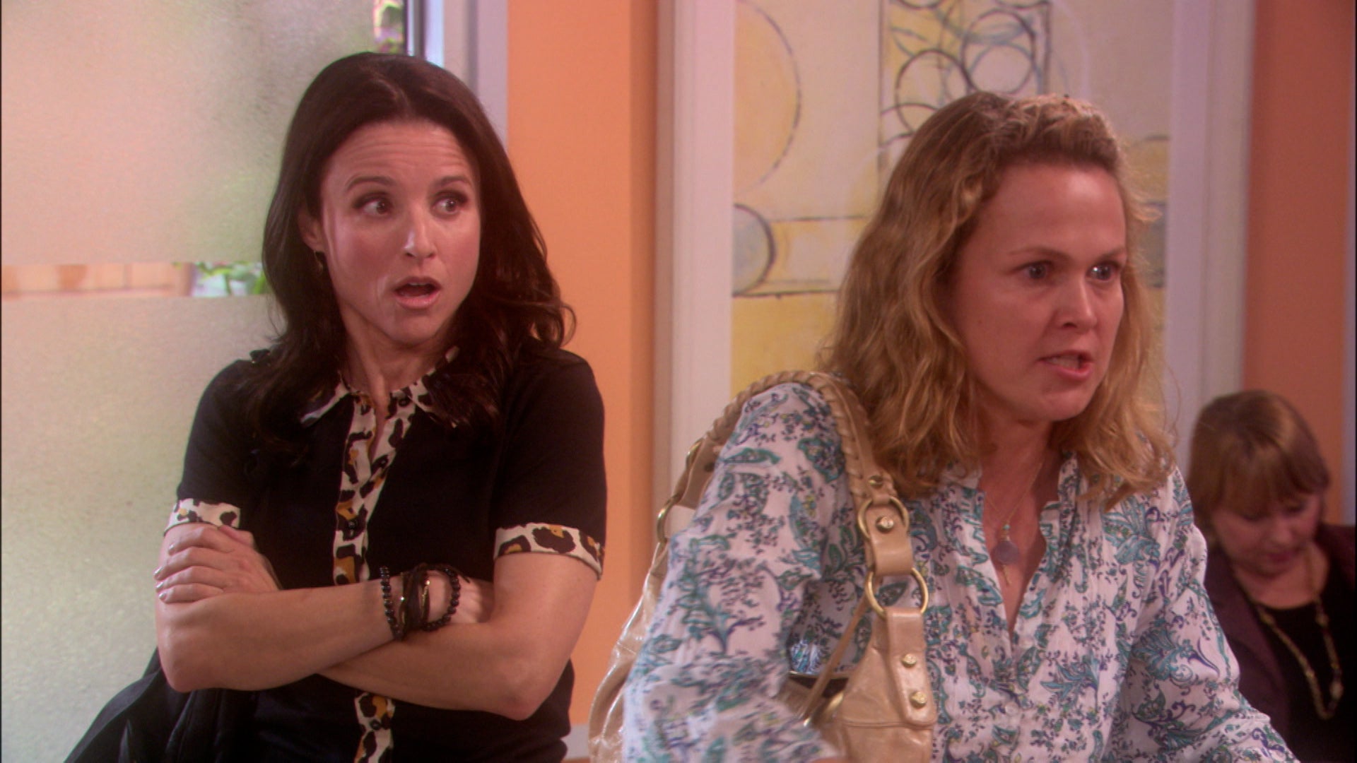 The New Adventures Of Old Christine Season 5 Episode 18 Revenge Makeover