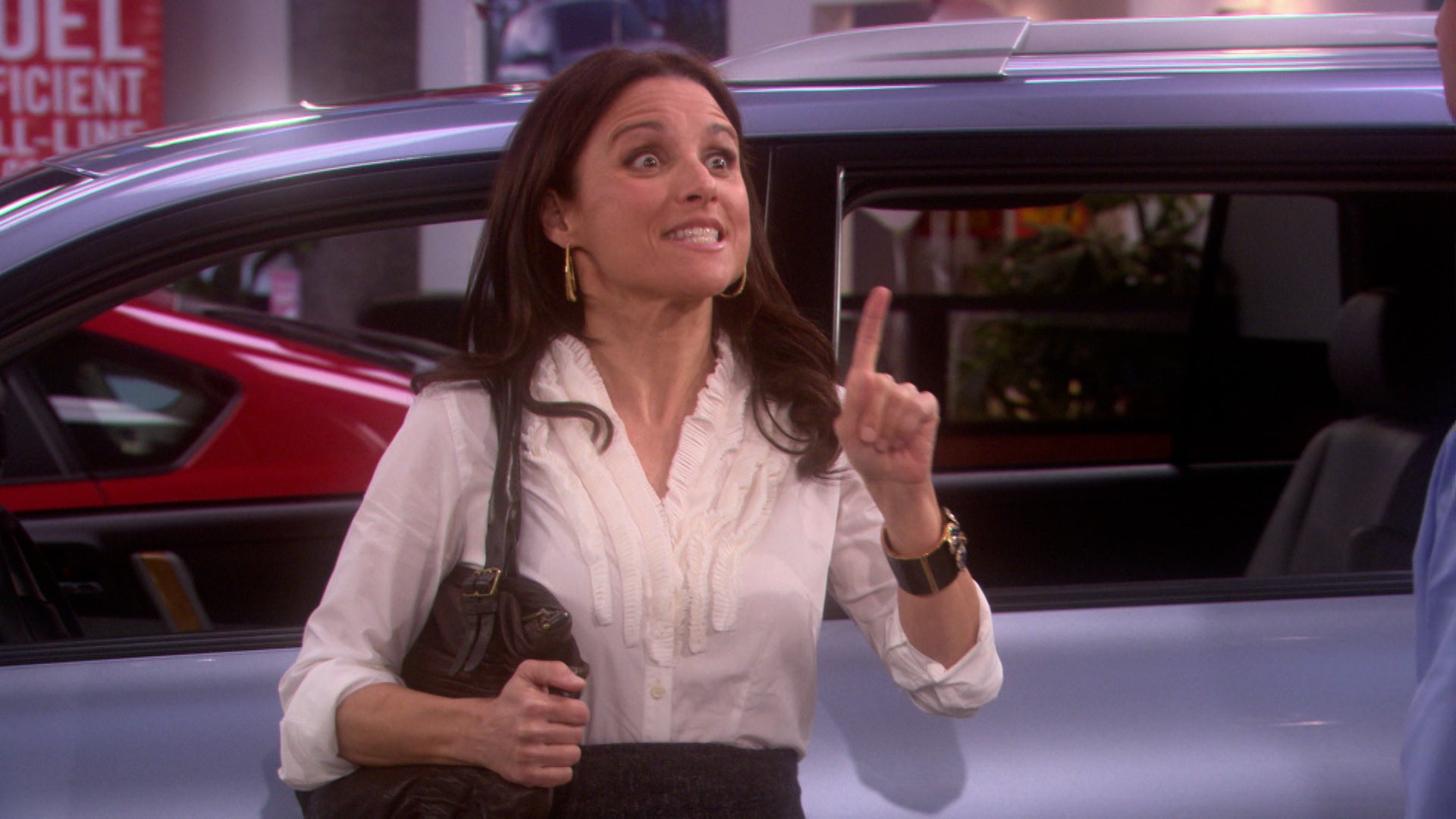 The New Adventures Of Old Christine Season 5 Episode 19 I Love What You Do For Me