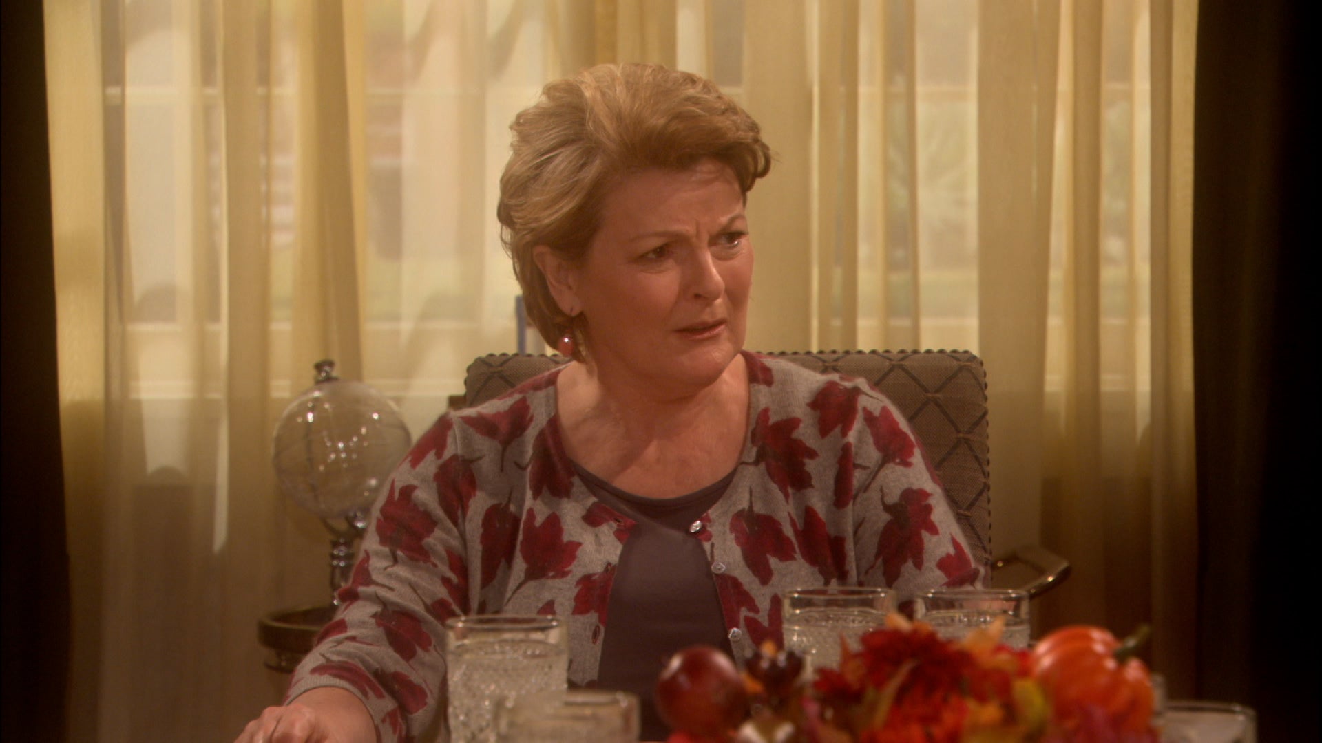 The New Adventures Of Old Christine Season 4 Episode 10 Guess Who's Not Coming to Dinner?