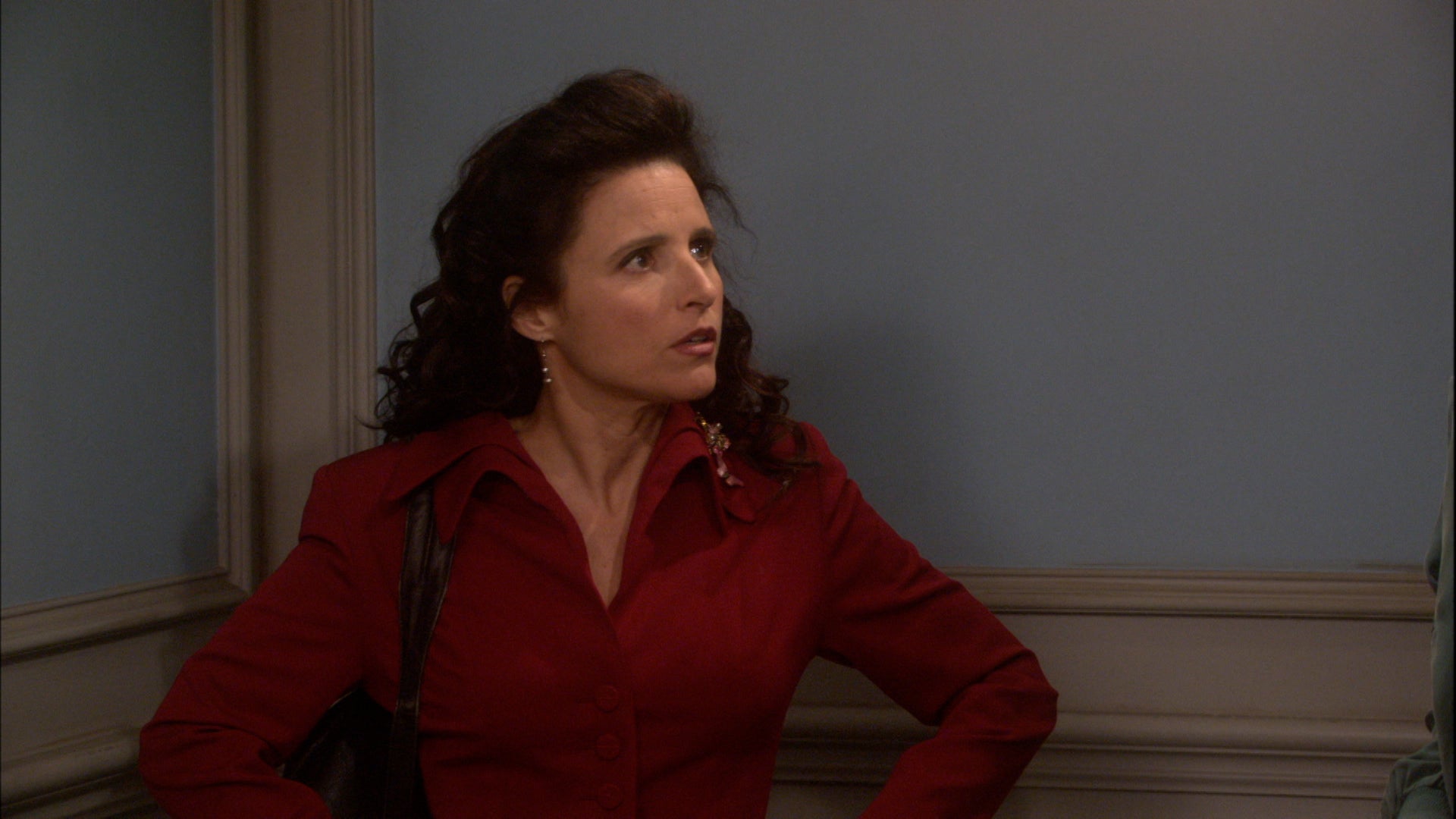 The New Adventures Of Old Christine Season 4 Episode 15 Reckless Abandonment