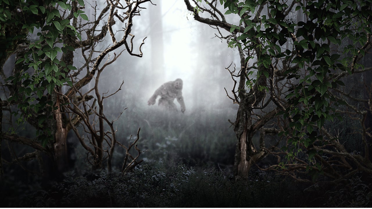 The Best of MonsterQuest