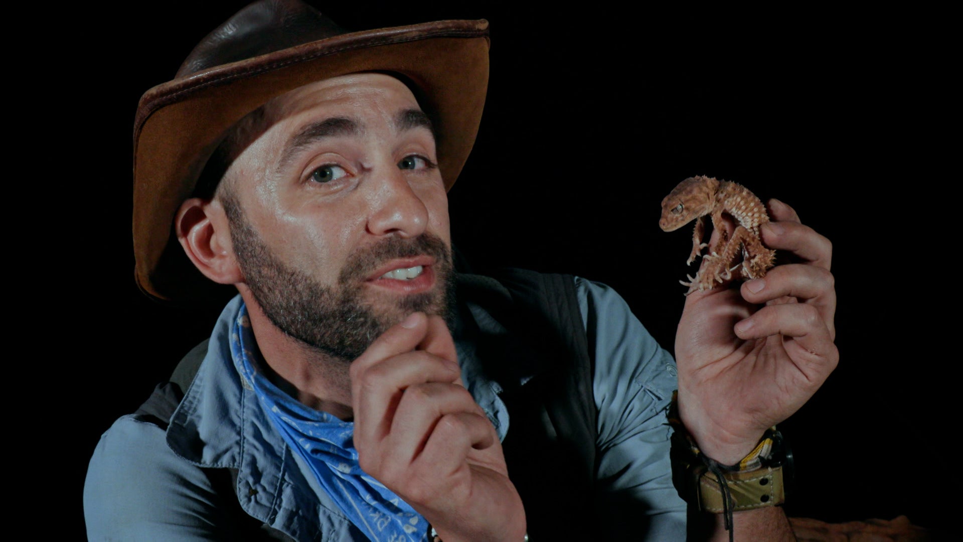 كويتي بيترسون: تحدي البرية الموسم 1 الحلقة 7 ليلة السقنقور