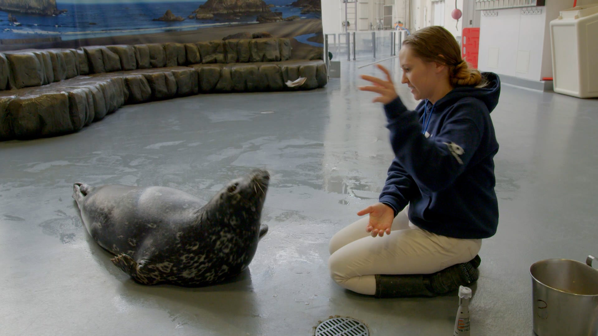 ذا أكواريوم الموسم 1 الحلقة 2 أبرم الصفقة