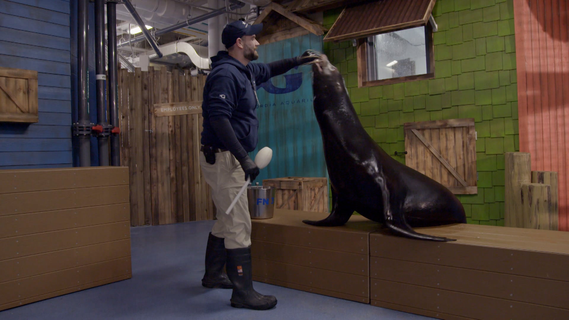 ذا أكواريوم الموسم 1 الحلقة 6 أوفيليا الأخطبوط