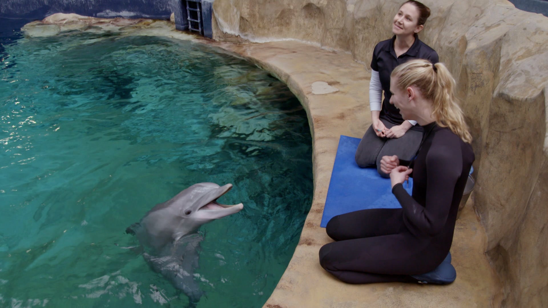 ذا أكواريوم الموسم 1 الحلقة 9 طبيب الدلافين