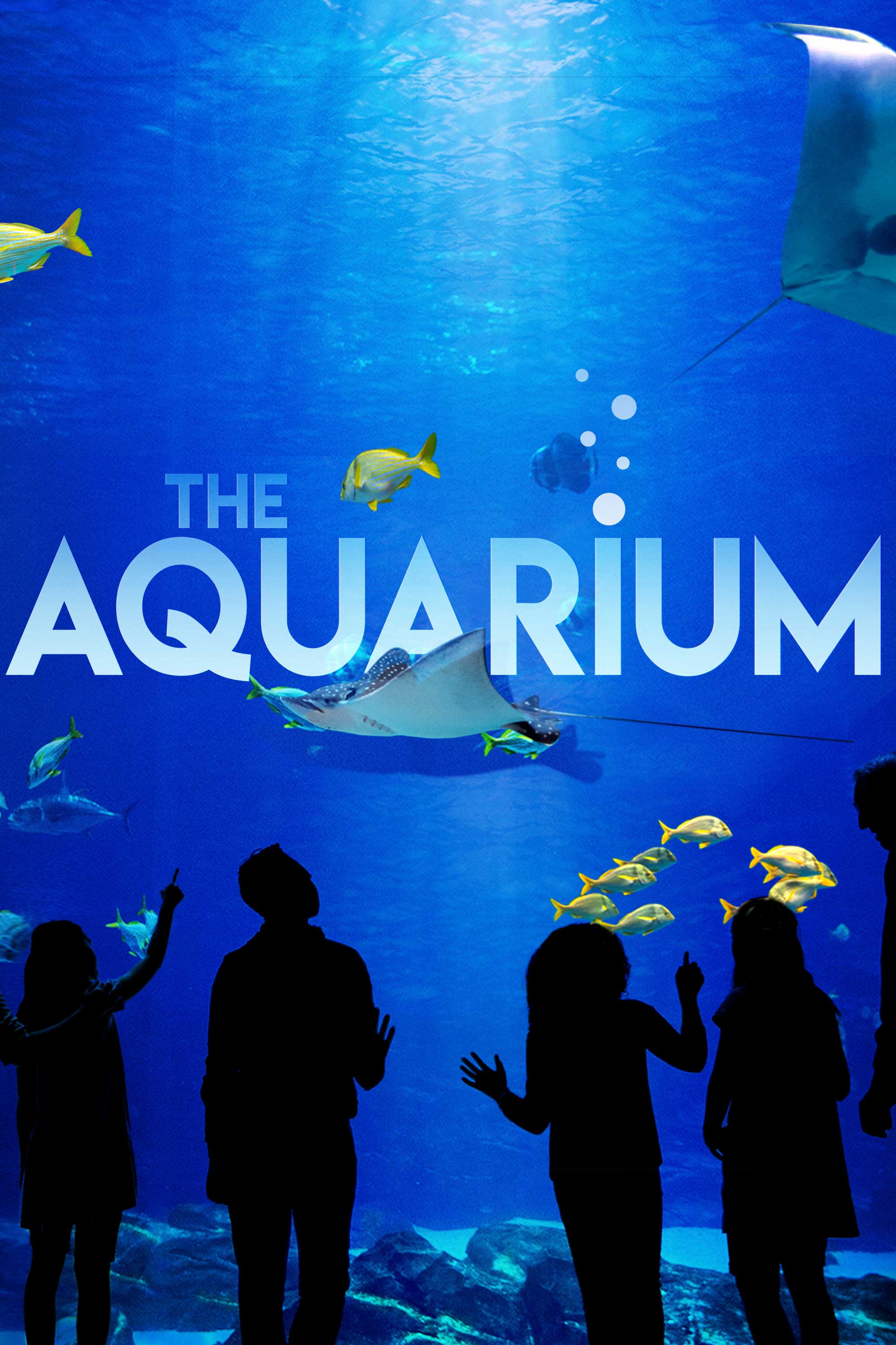 The Aquarium